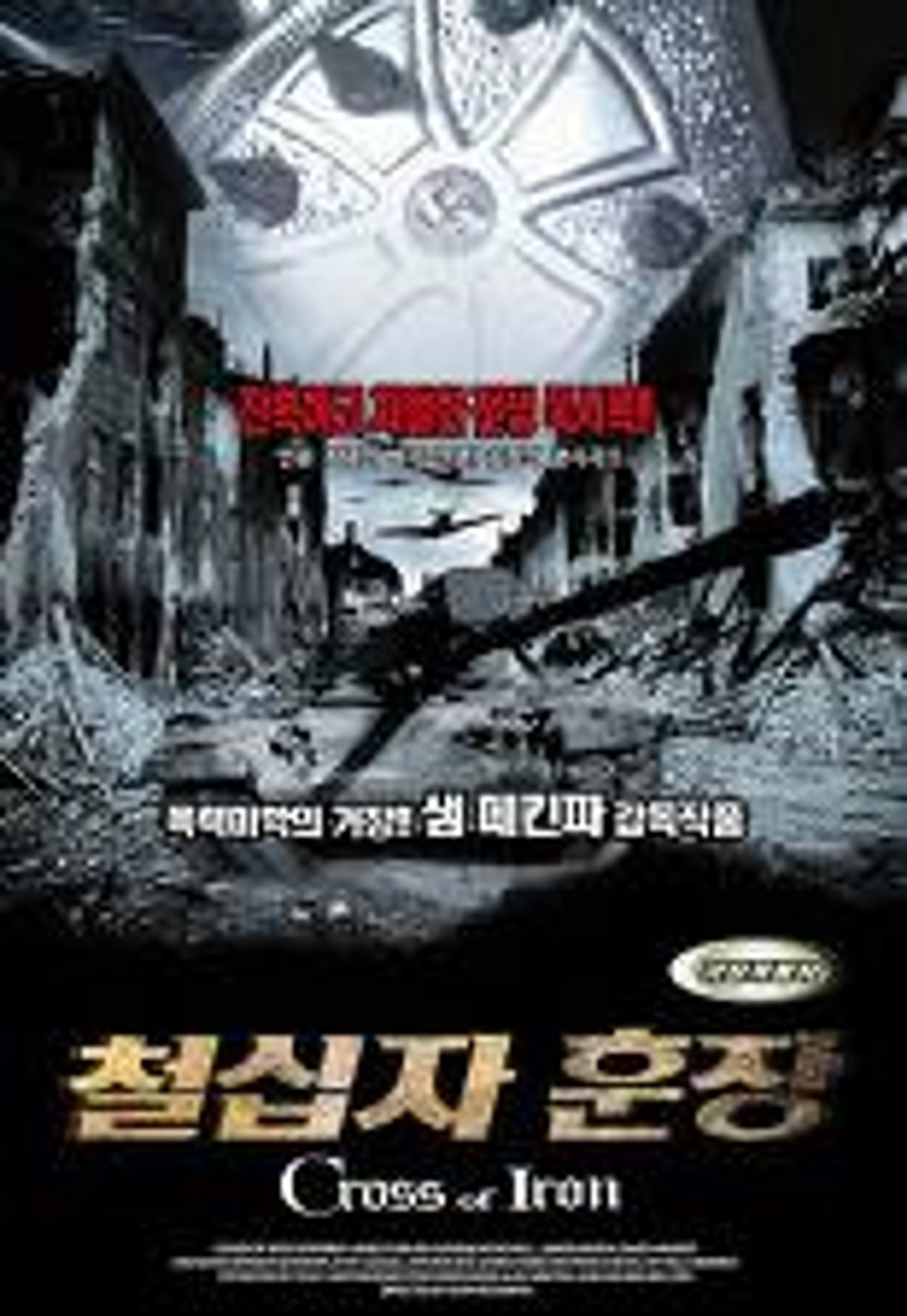 철십자 훈장
