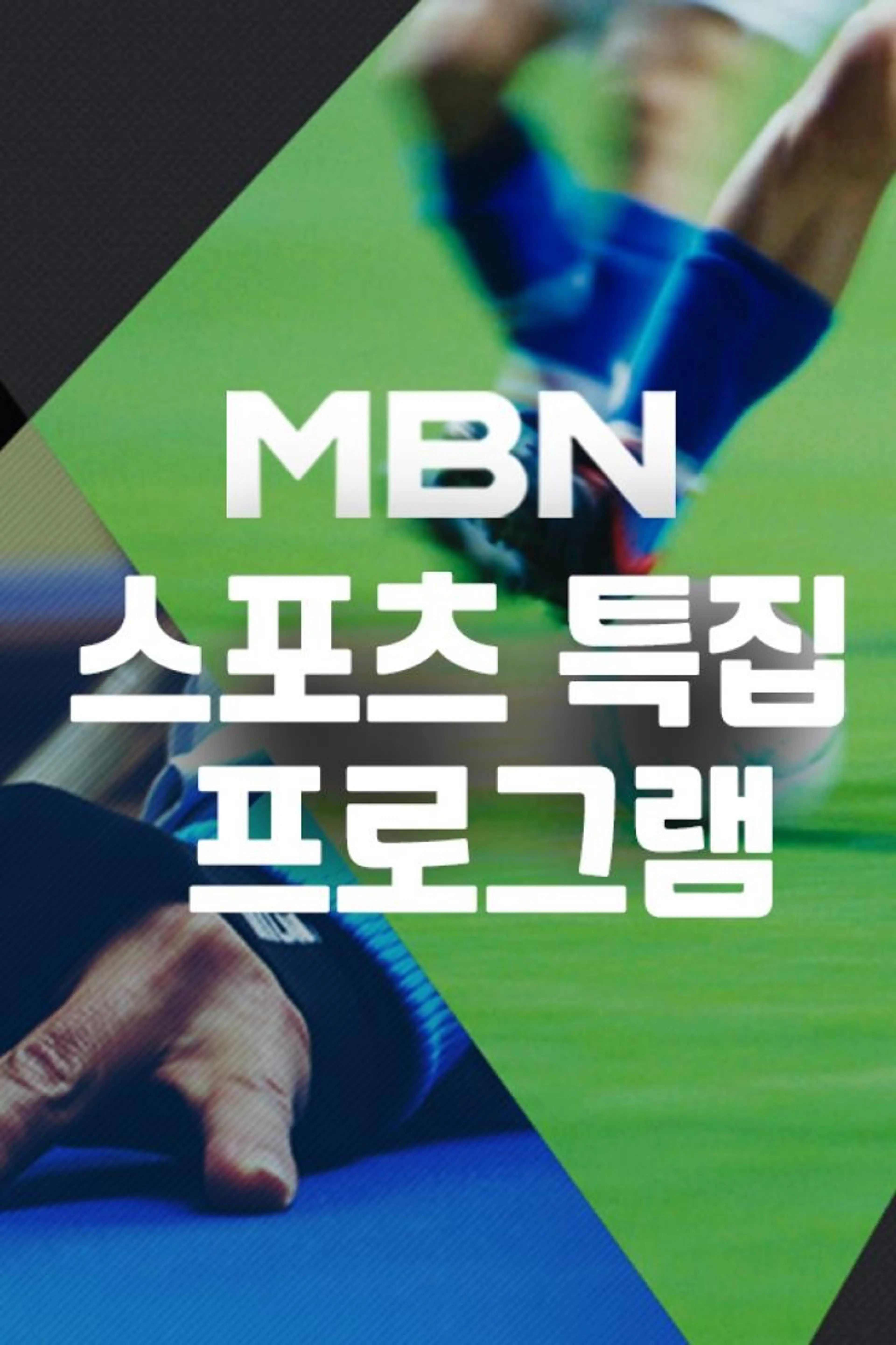 스포츠 특집 프로그램