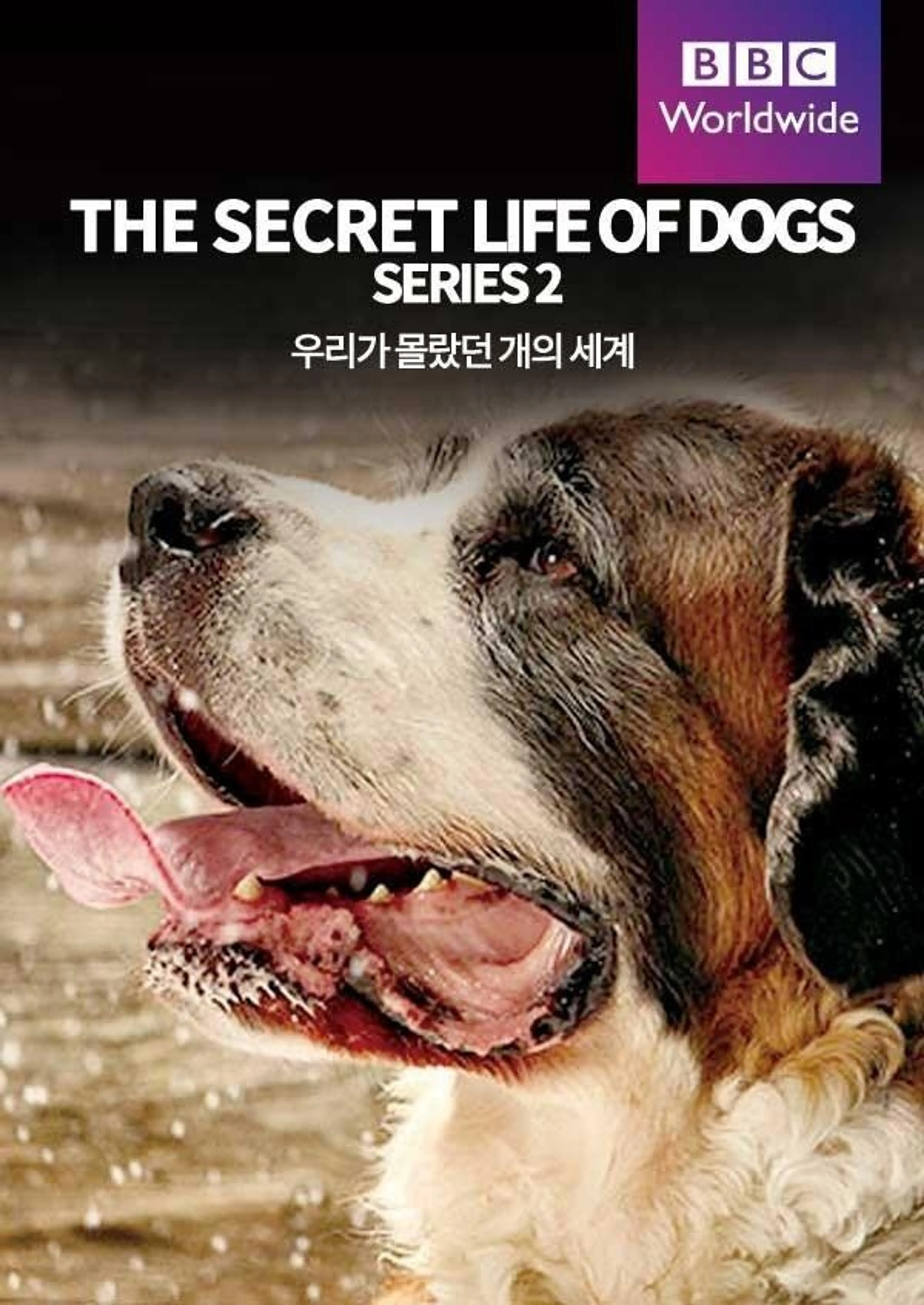 우리가 몰랐던 개의 세계 시즌2