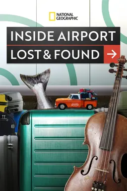 공항 분실물 여행