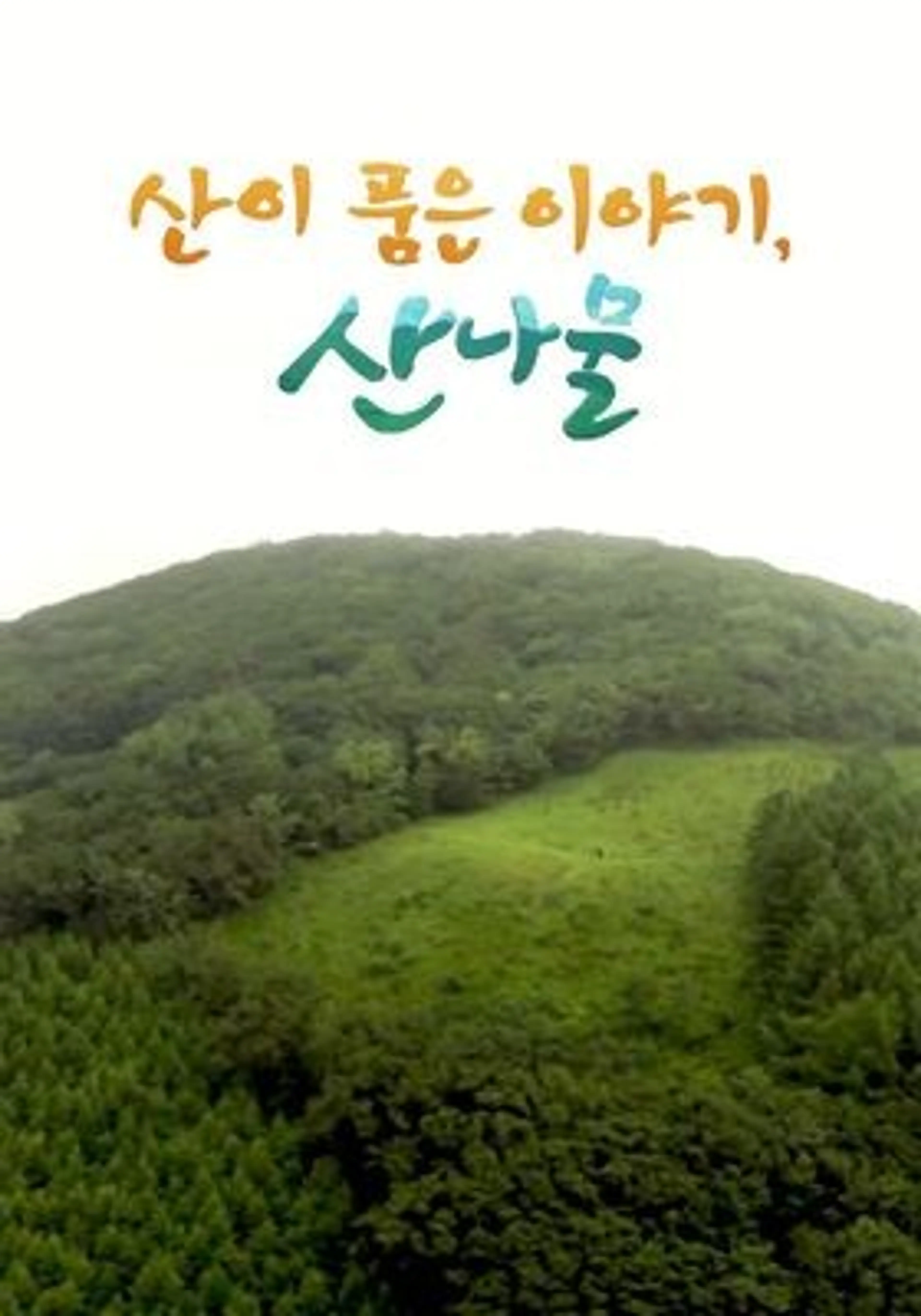산이 품은 이야기, 산나물