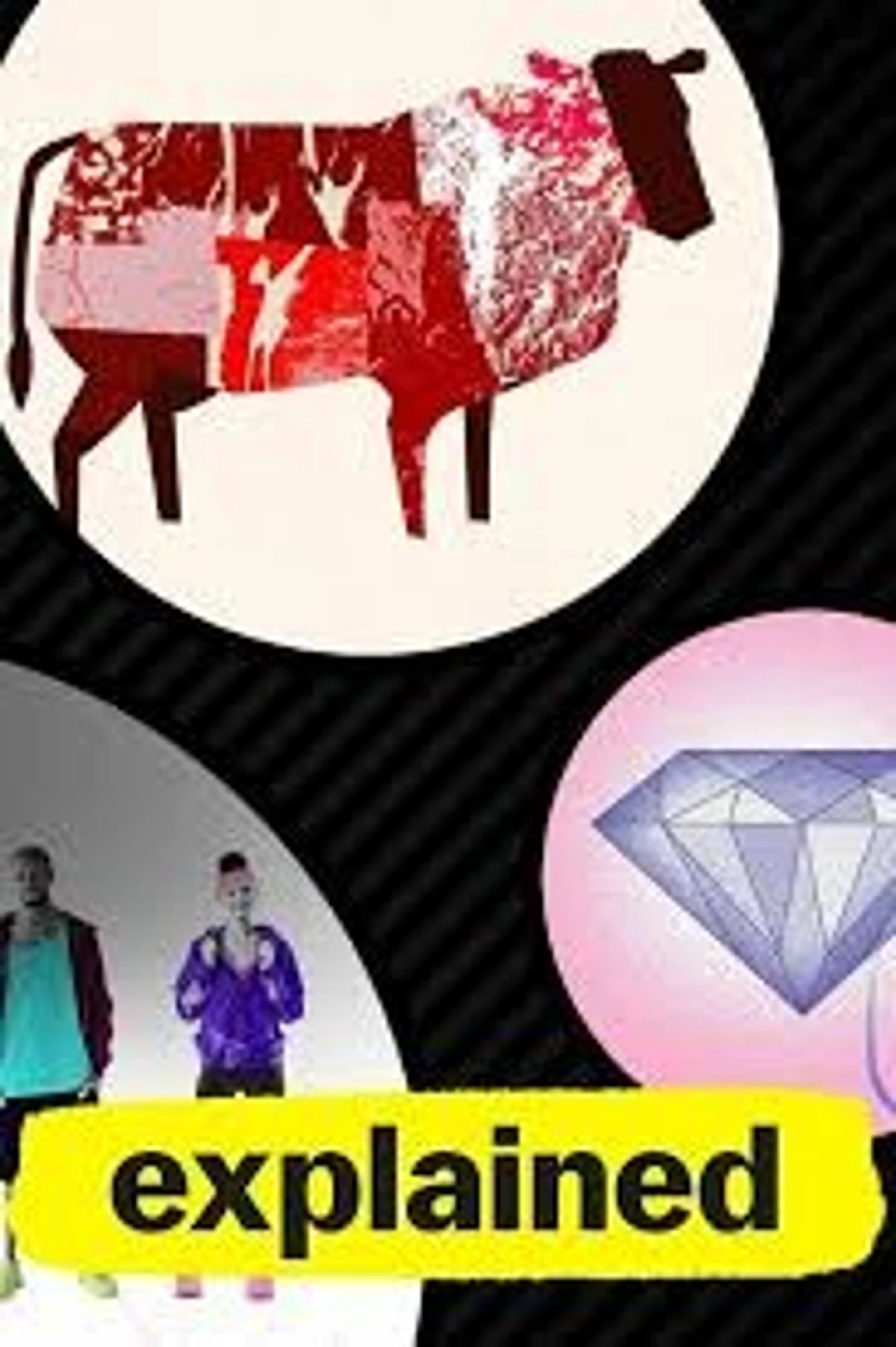 익스플레인: 세계를 해설하다 시즌 1