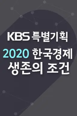 KBS 특별기획 2020 한국경제 생존의 길을 묻다