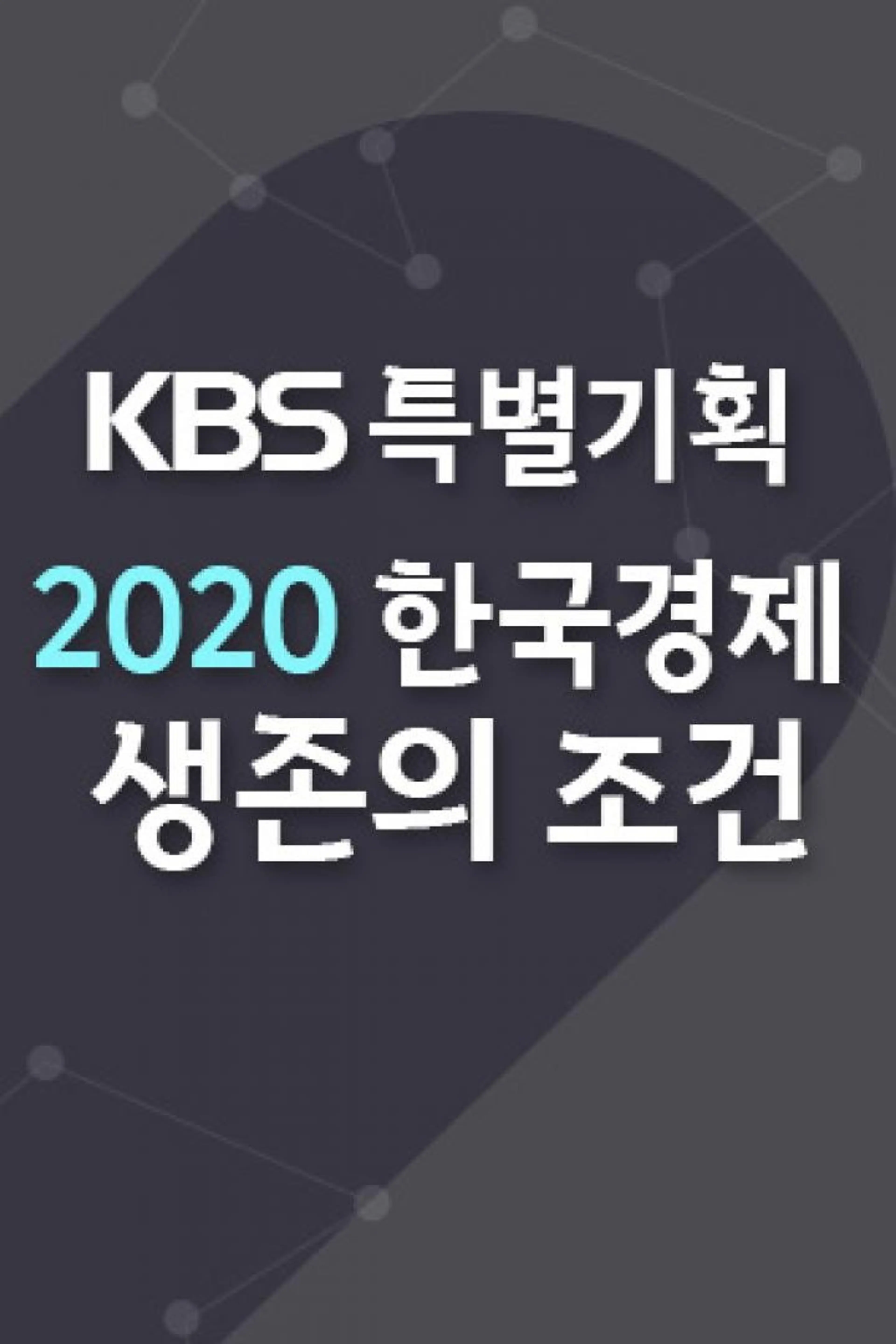 KBS 특별기획 2020 한국경제 생존의 길을 묻다