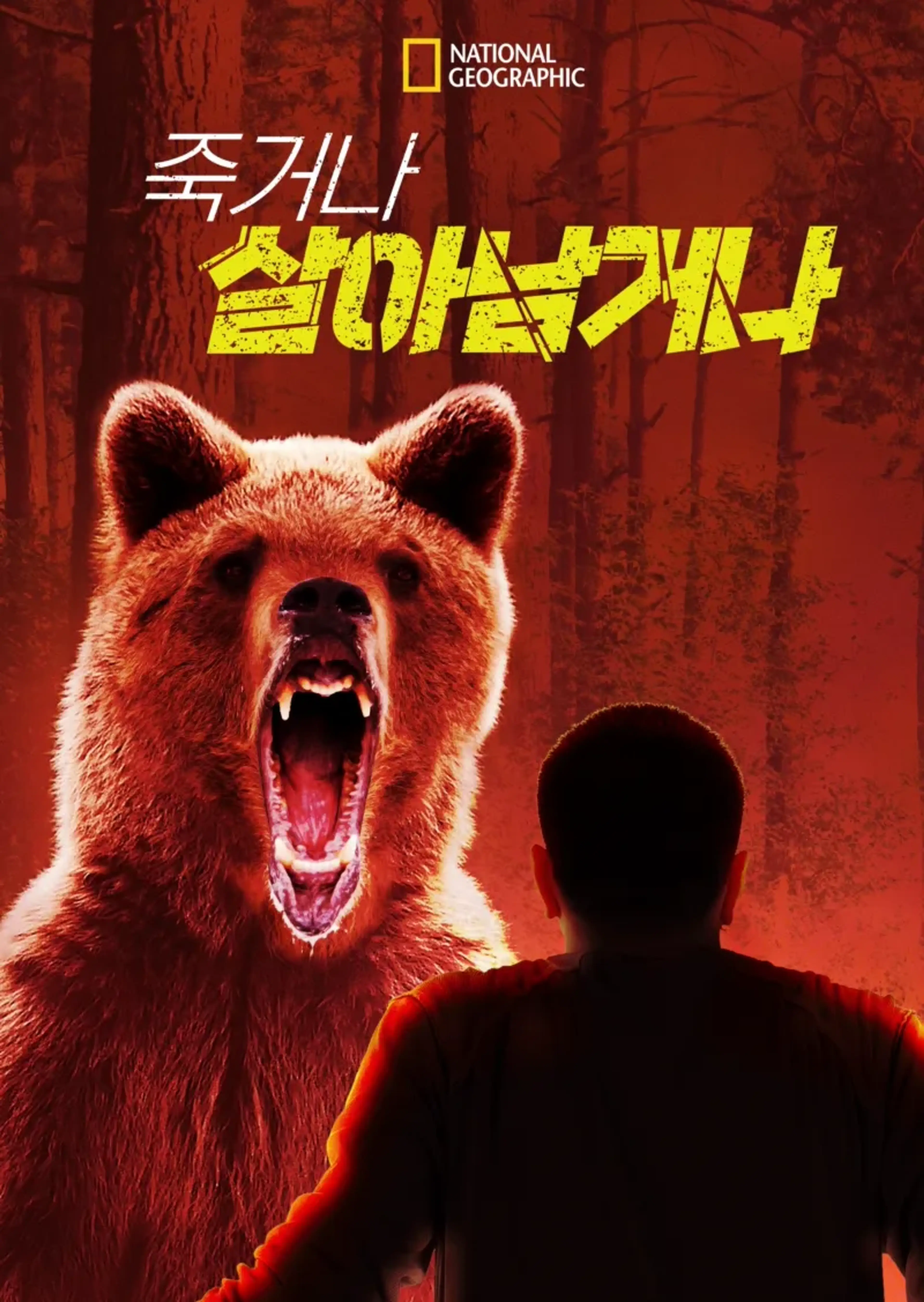 죽거나 살아남거나