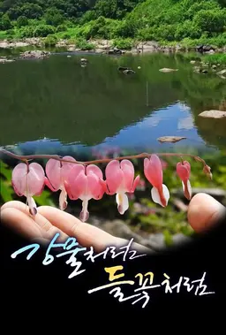 강물처럼 들꽃처럼
