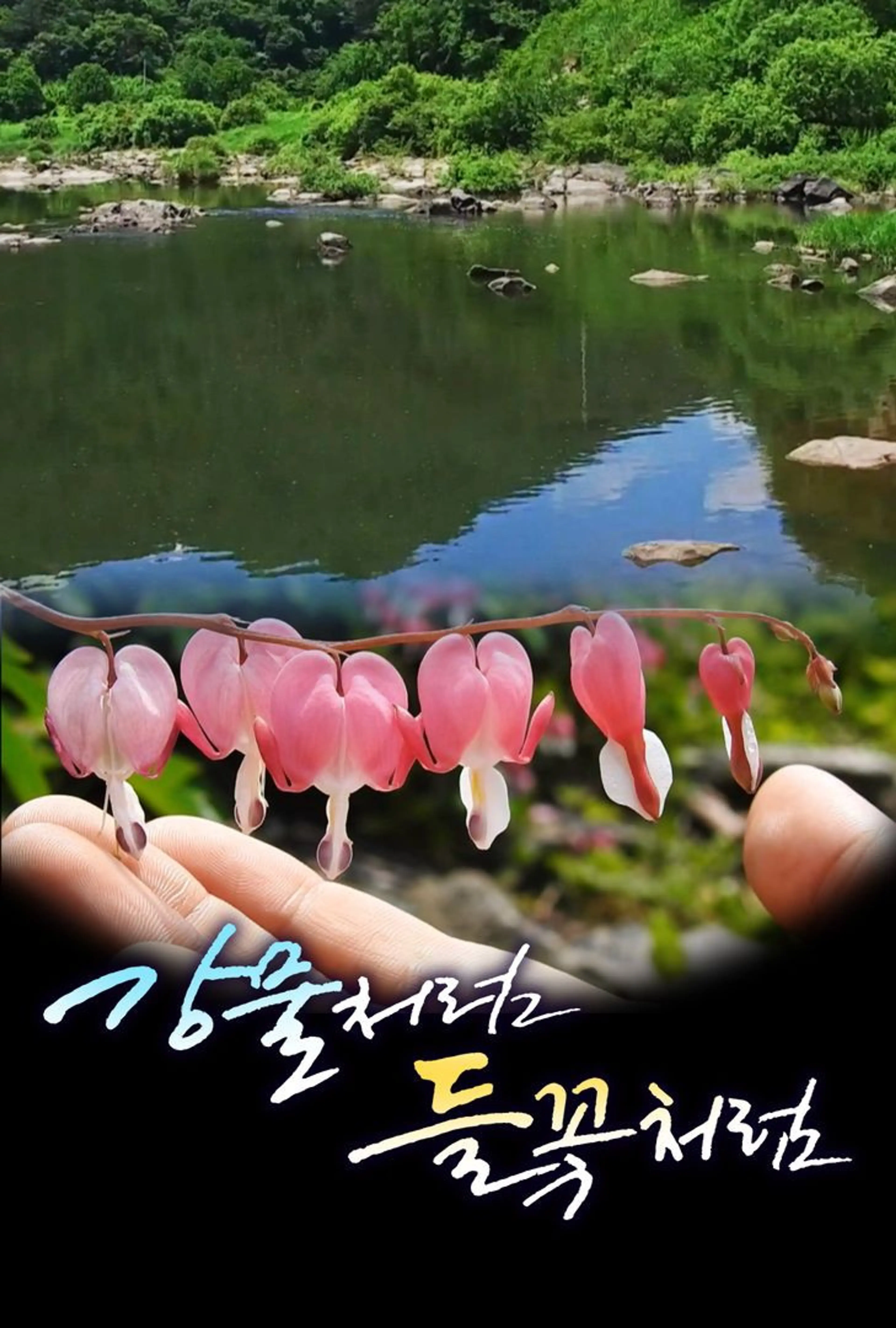 강물처럼 들꽃처럼
