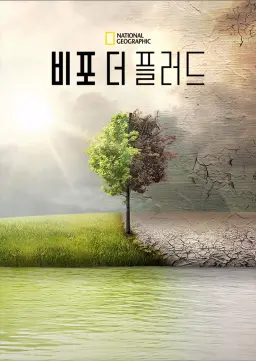 비포 더 플러드