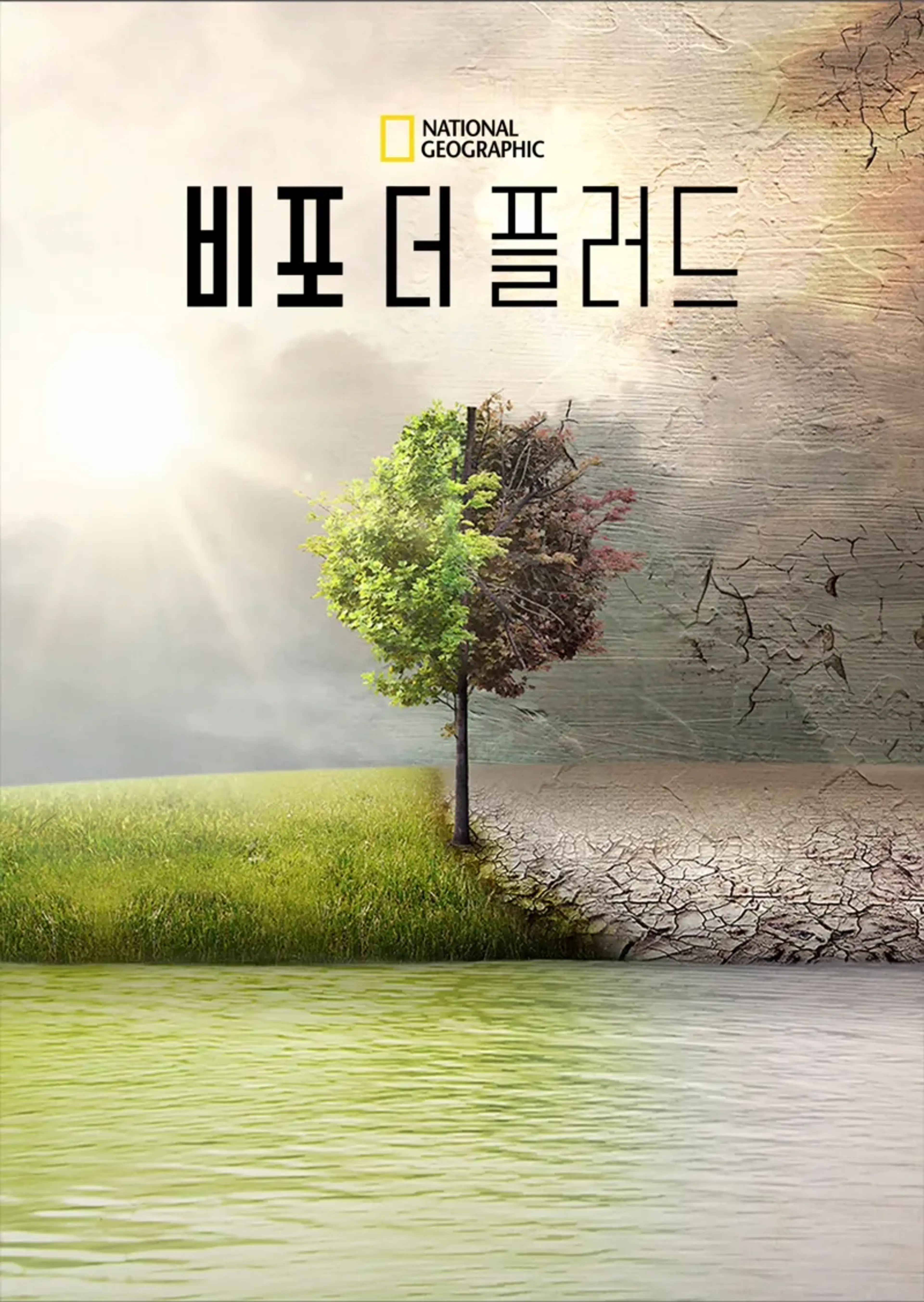 비포 더 플러드