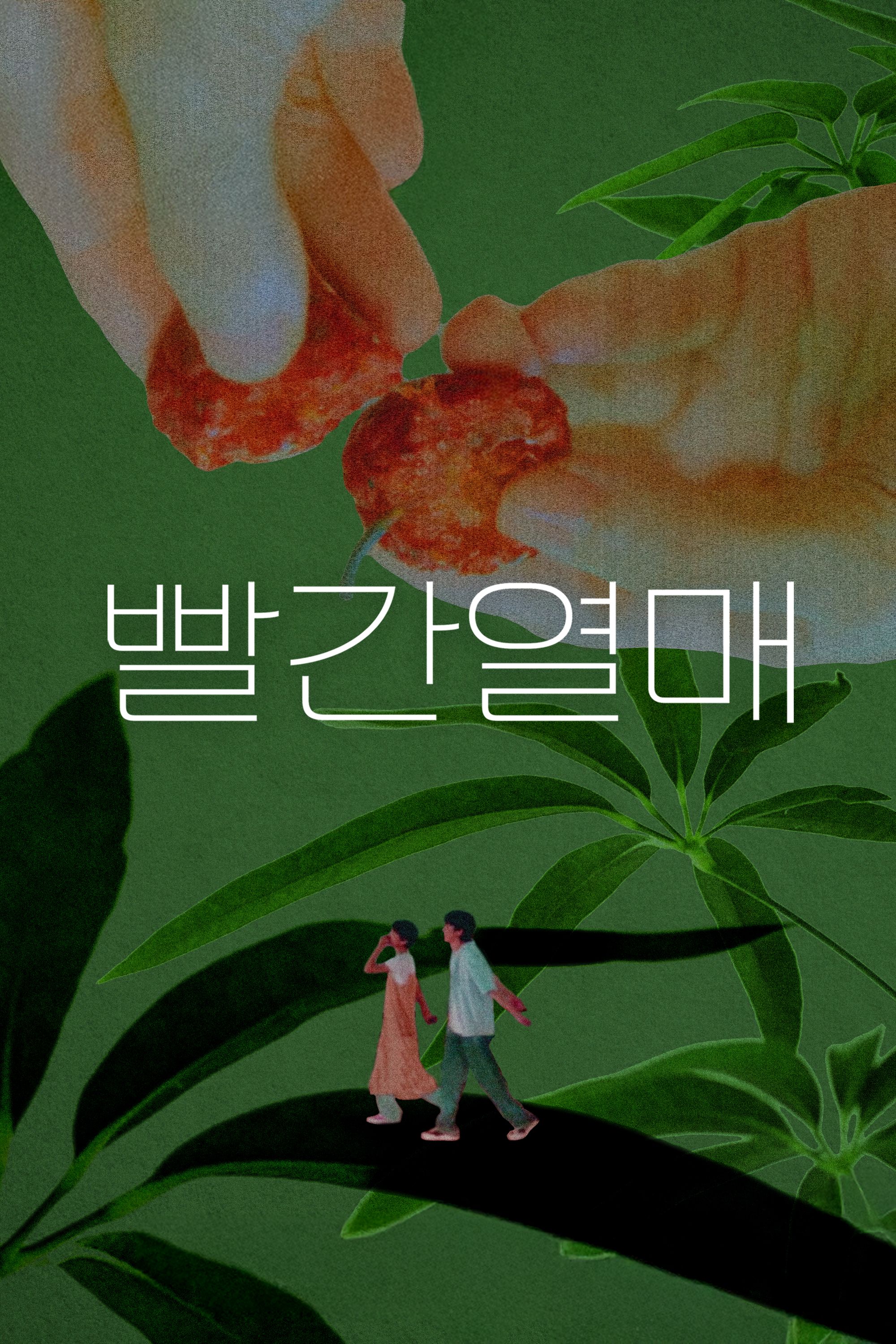 빨간열매