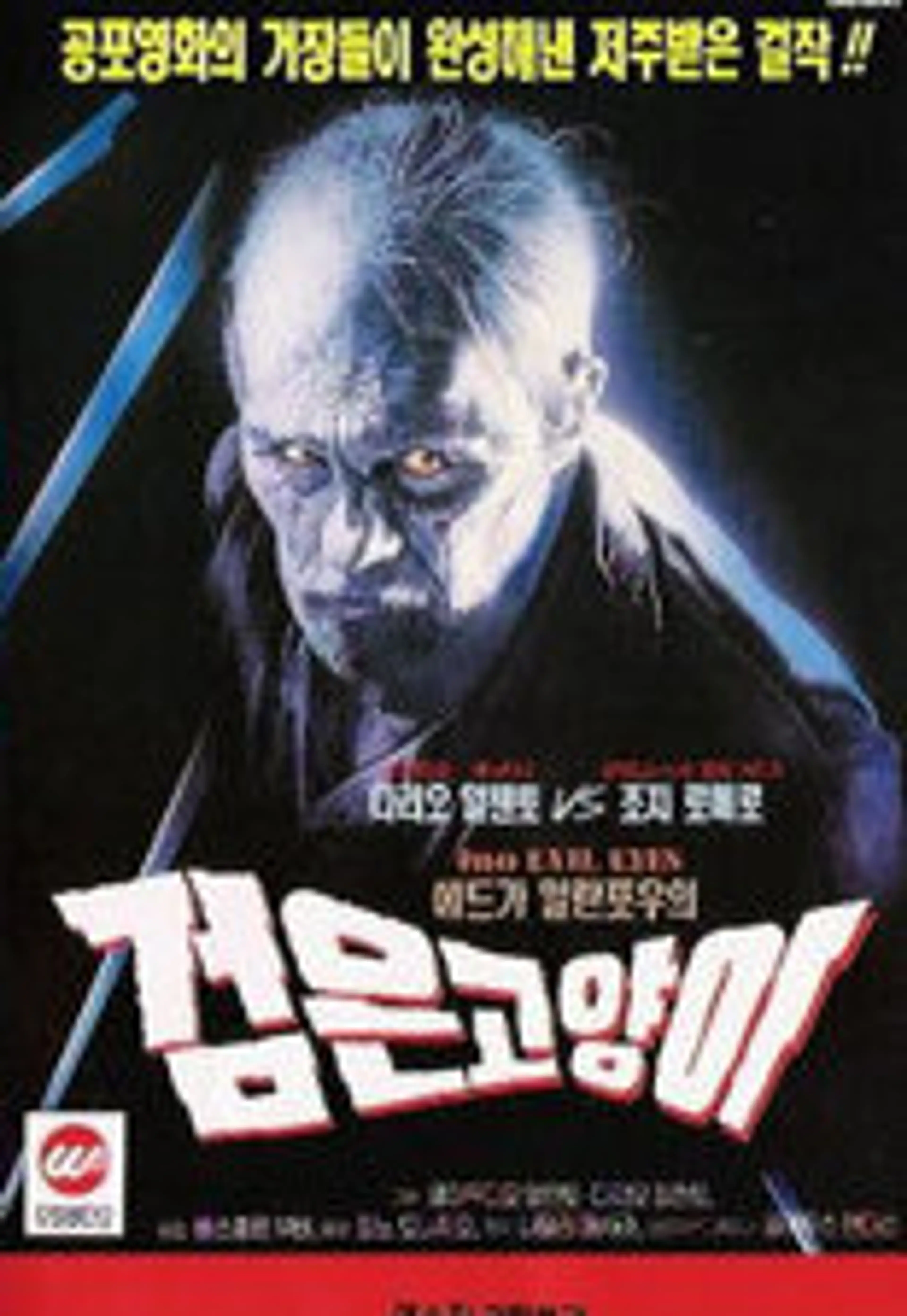 에드가 알란 포우의 검은 고양이