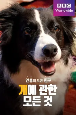 인류의 오랜친구: 개에 관한 모든것