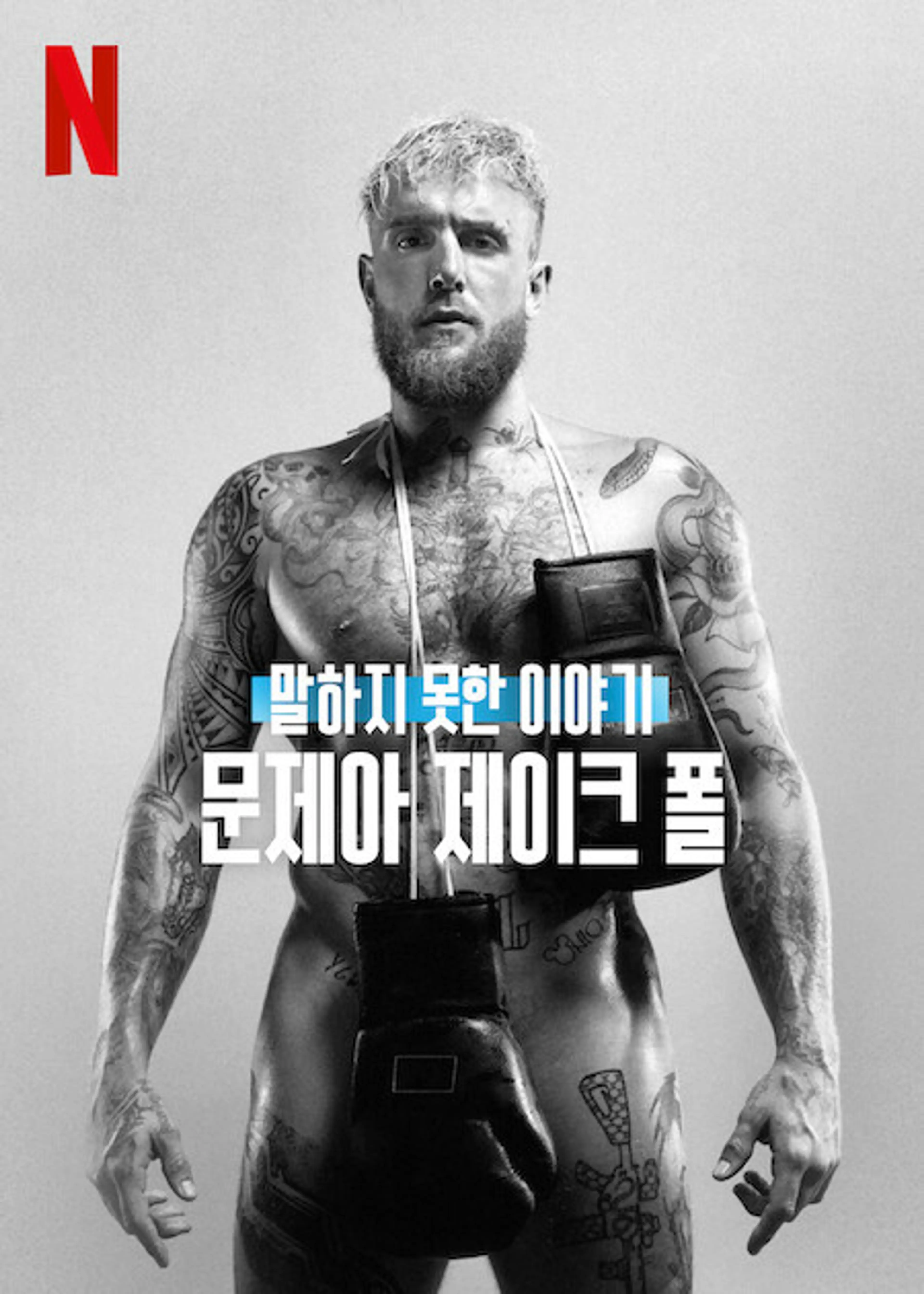 말하지 못한 이야기: 문제아 제이크 폴