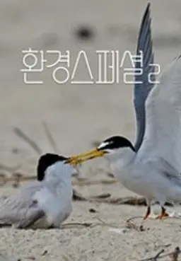 UHD 환경스페셜 2