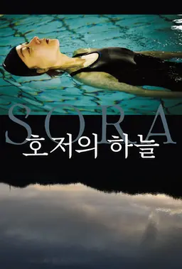 호저의 하늘