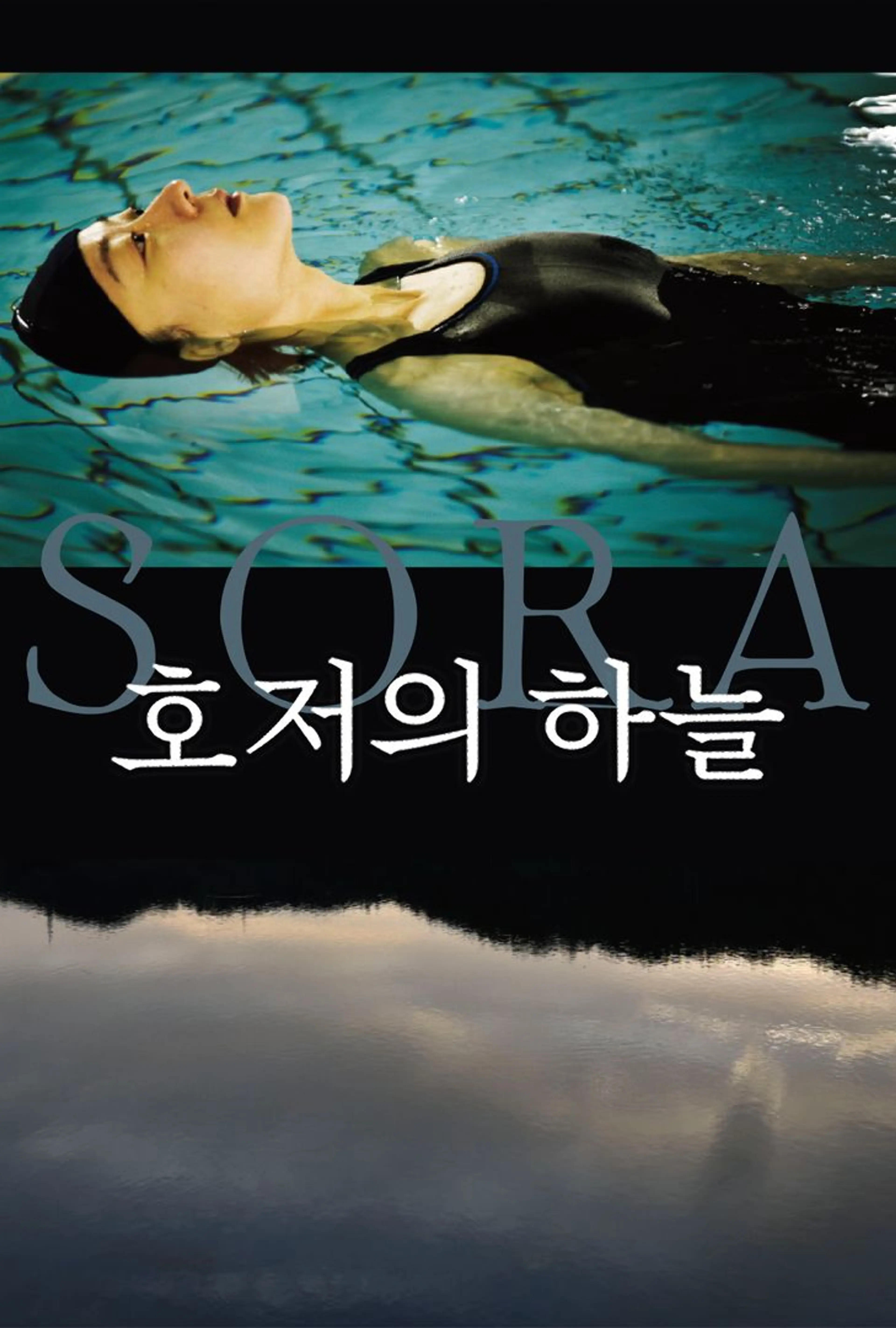 호저의 하늘