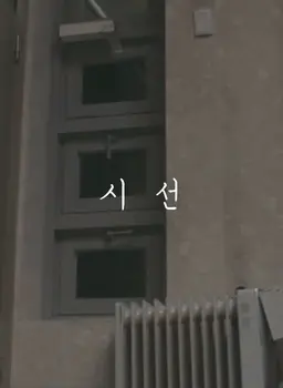 시선