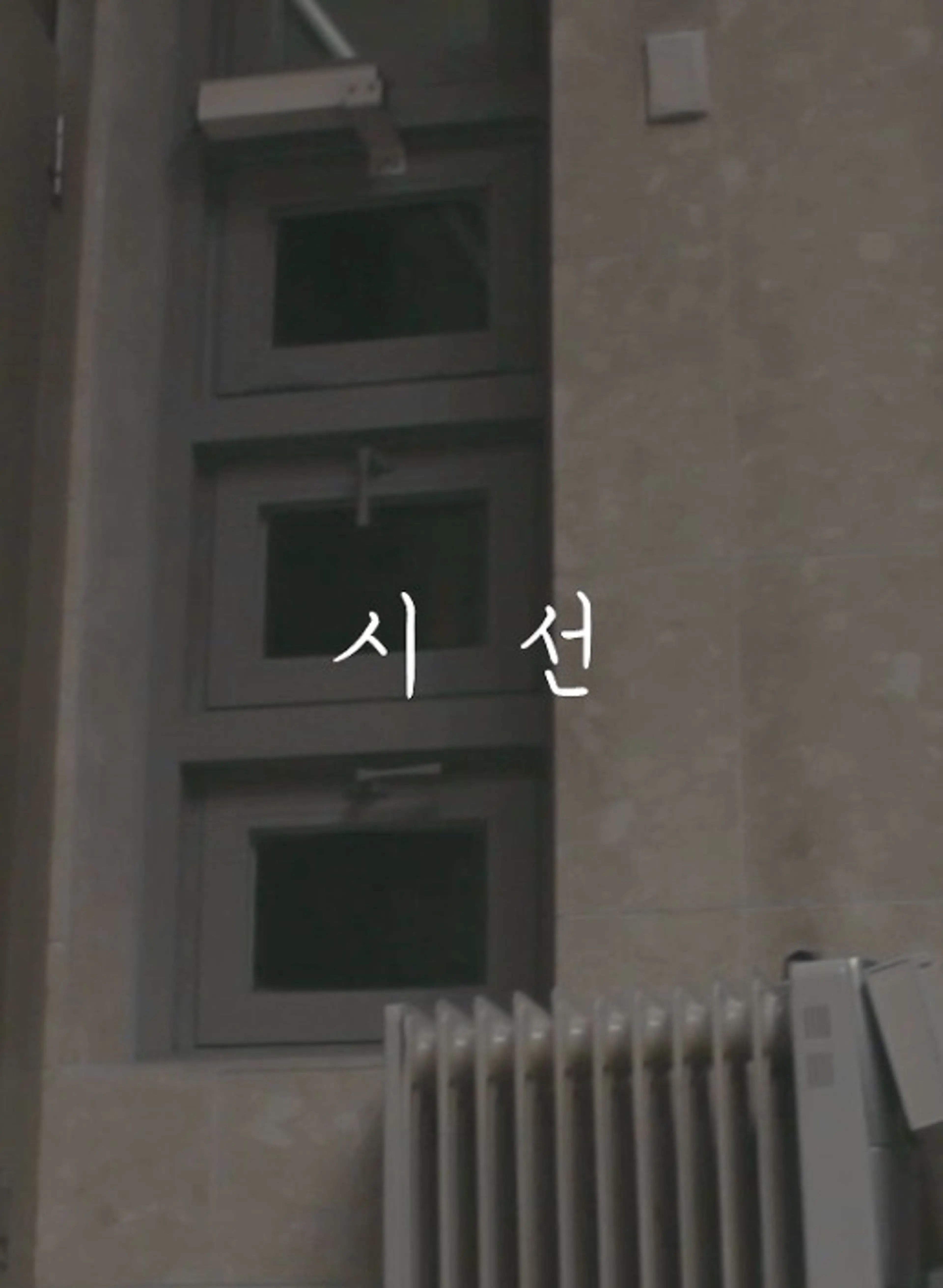 시선