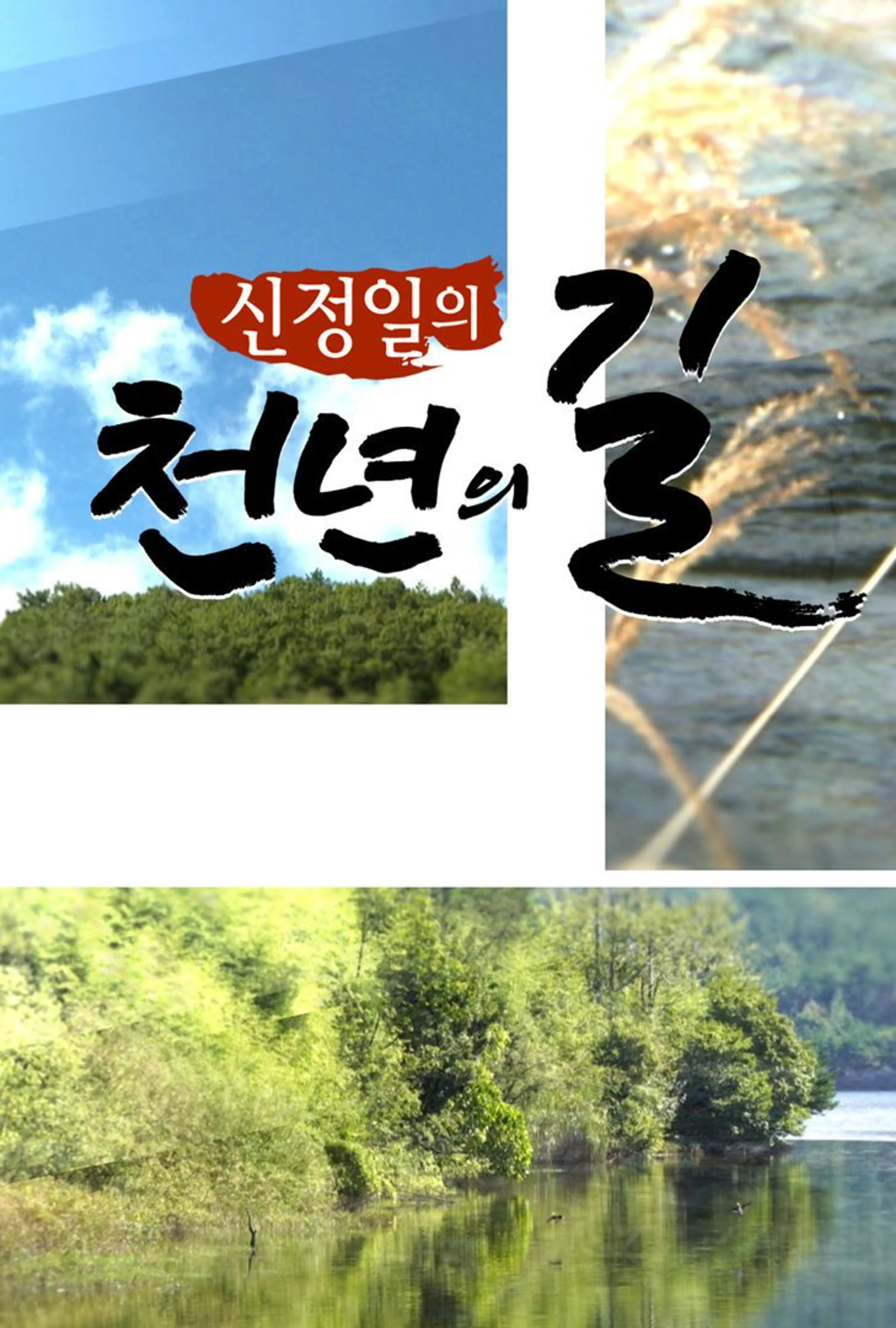 신정일의 천년의 길