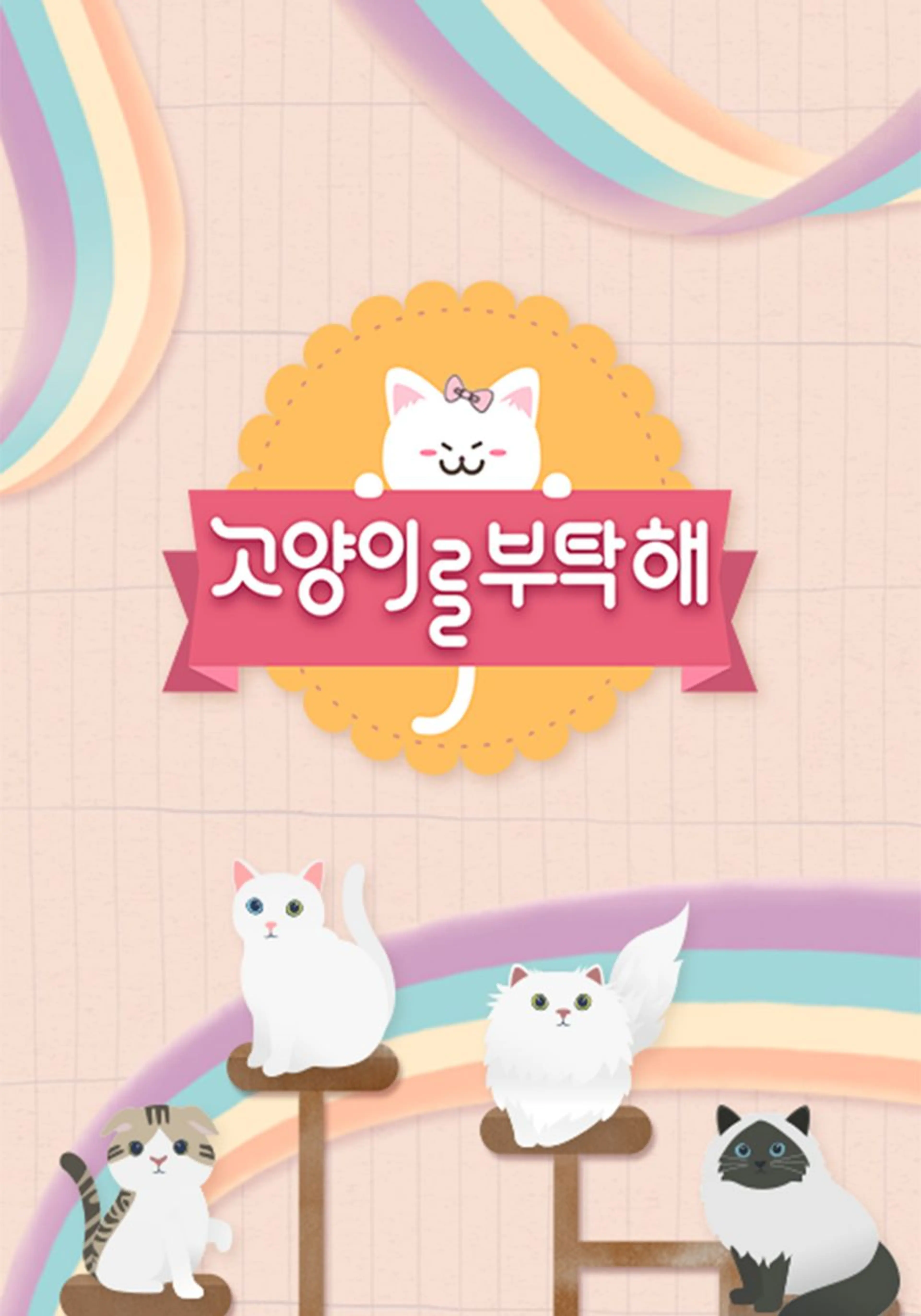 고양이를 부탁해 시즌8