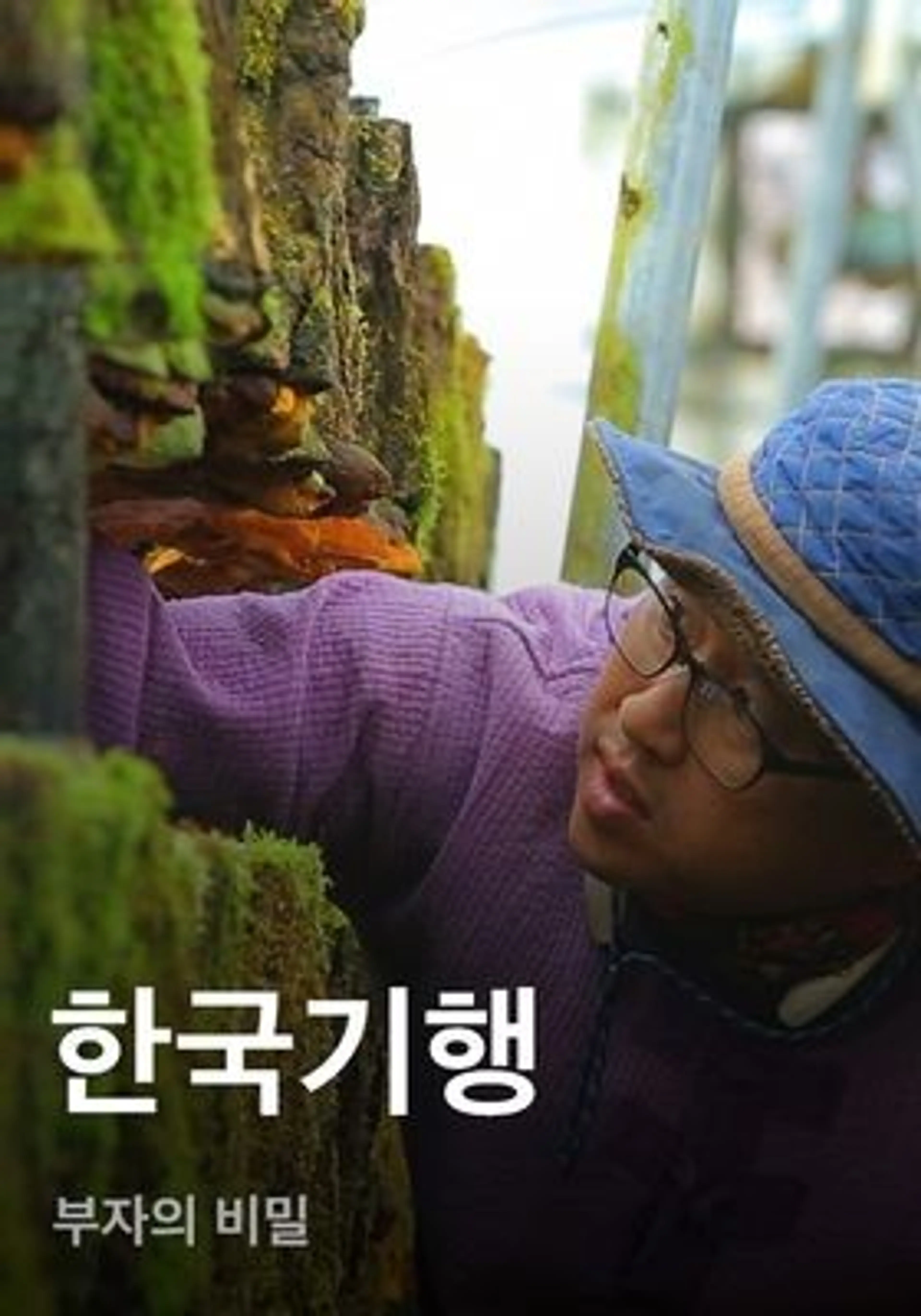한국기행 - 부자의 비밀