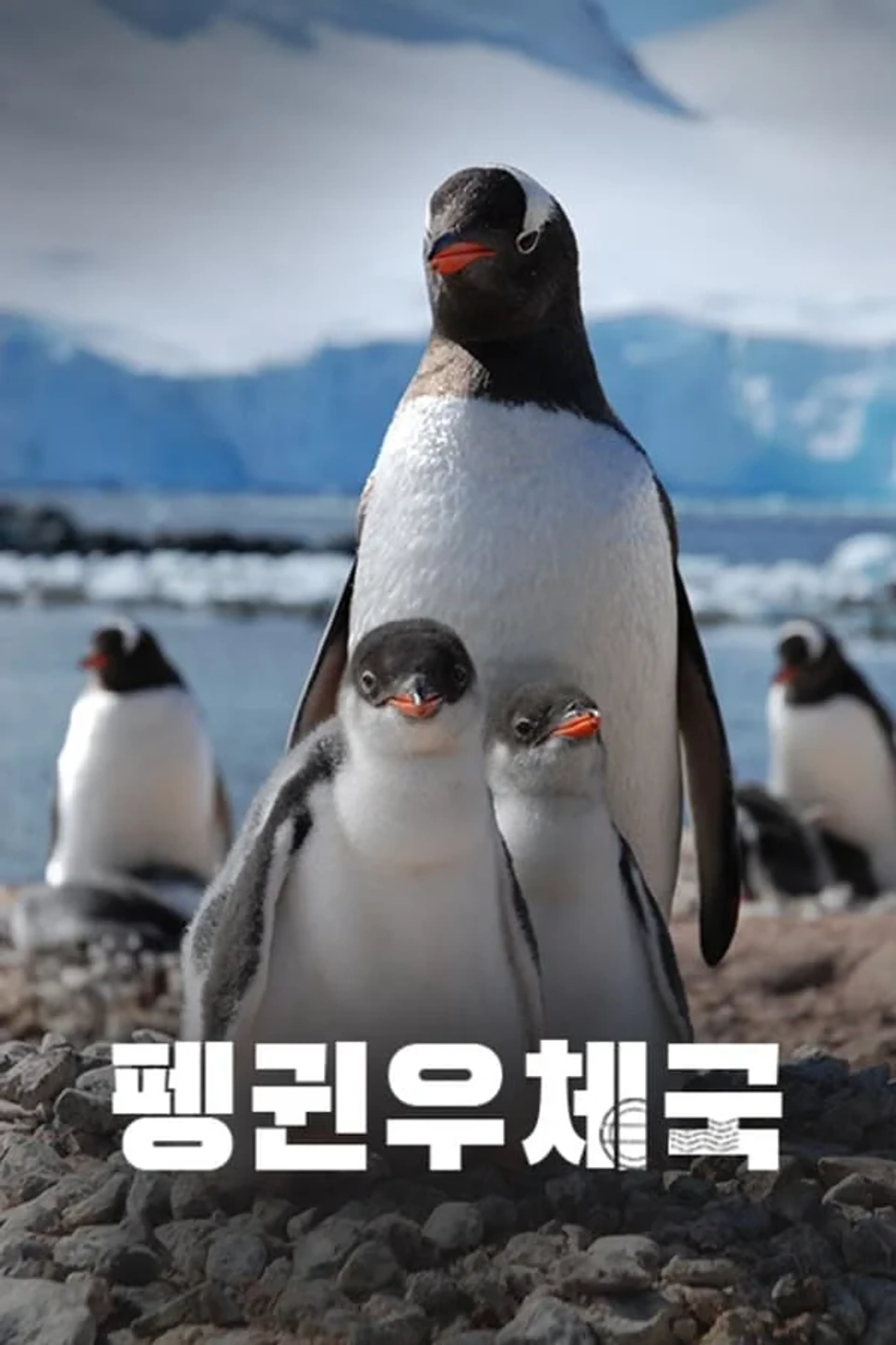 펭귄 우체국
