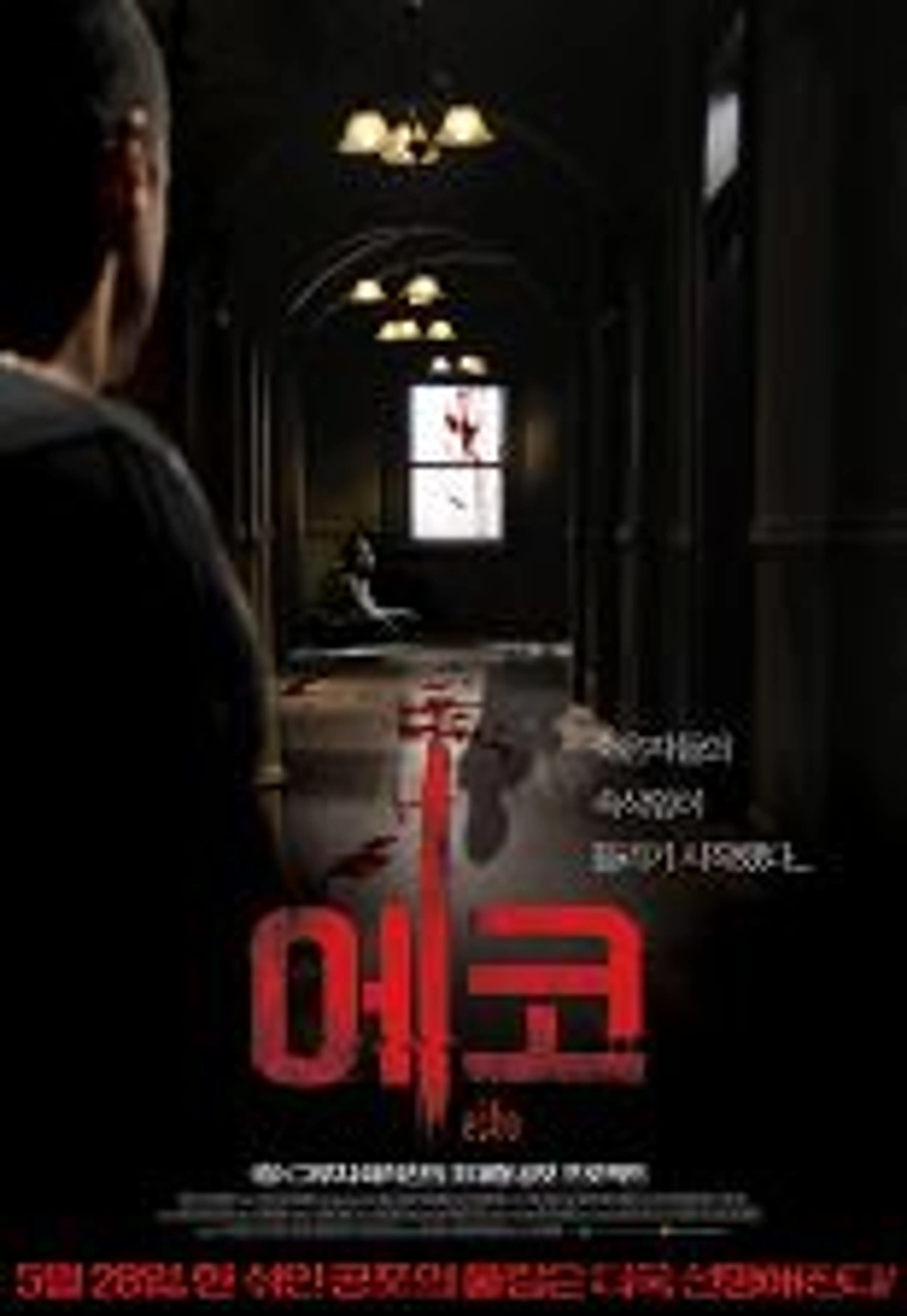 에코