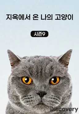 지옥에서 온 나의 고양이 시즌 9
