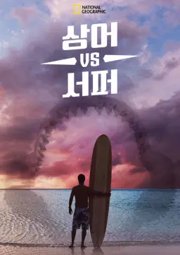 상어 vs 서퍼