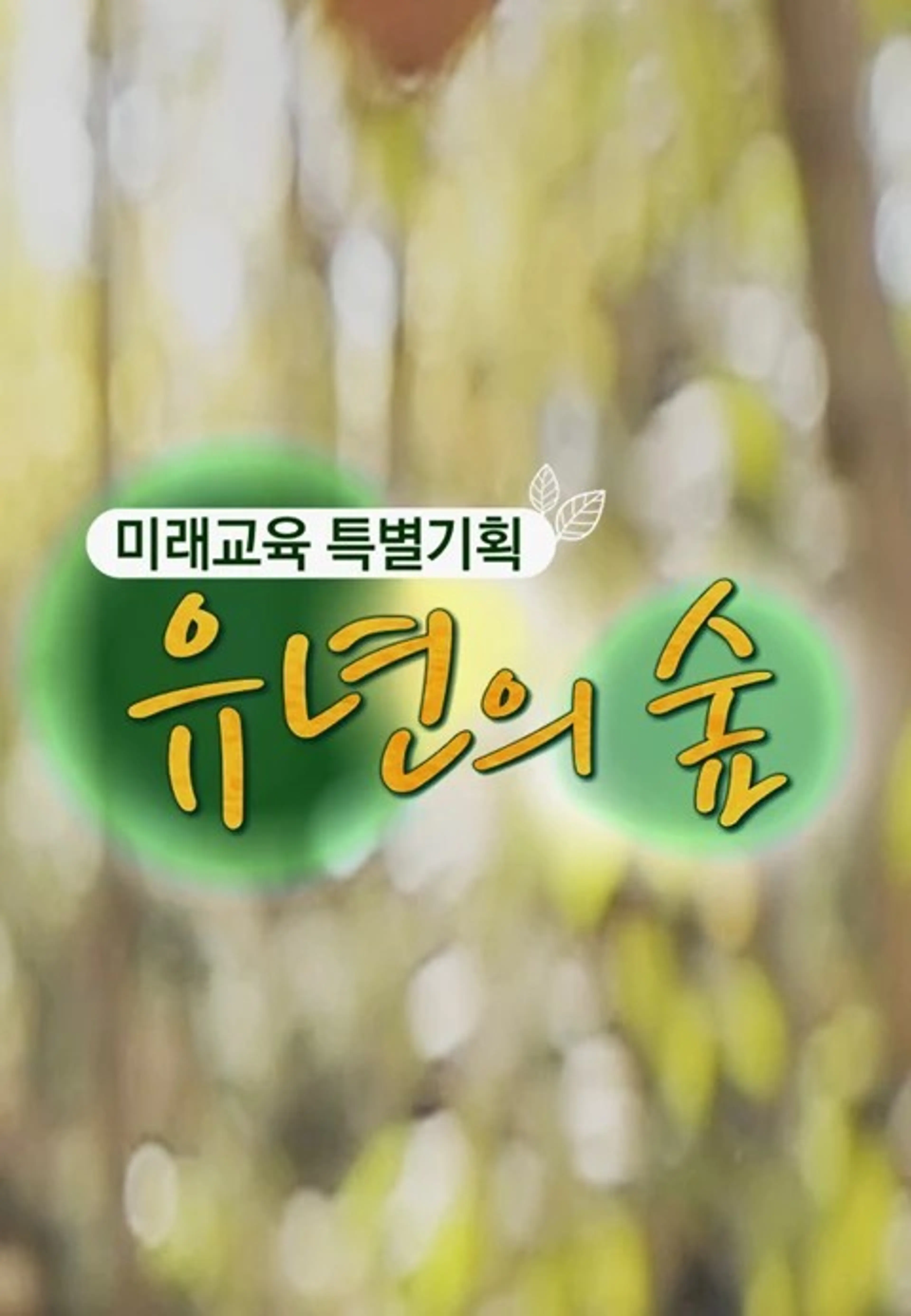미래교육 특별기획 유년의 숲