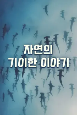 자연의 기이한 이야기