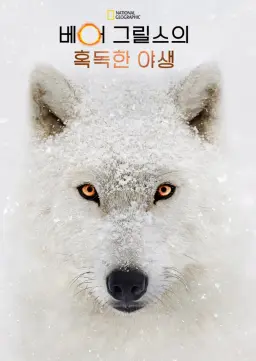 베어 그릴스의 혹독한 야생