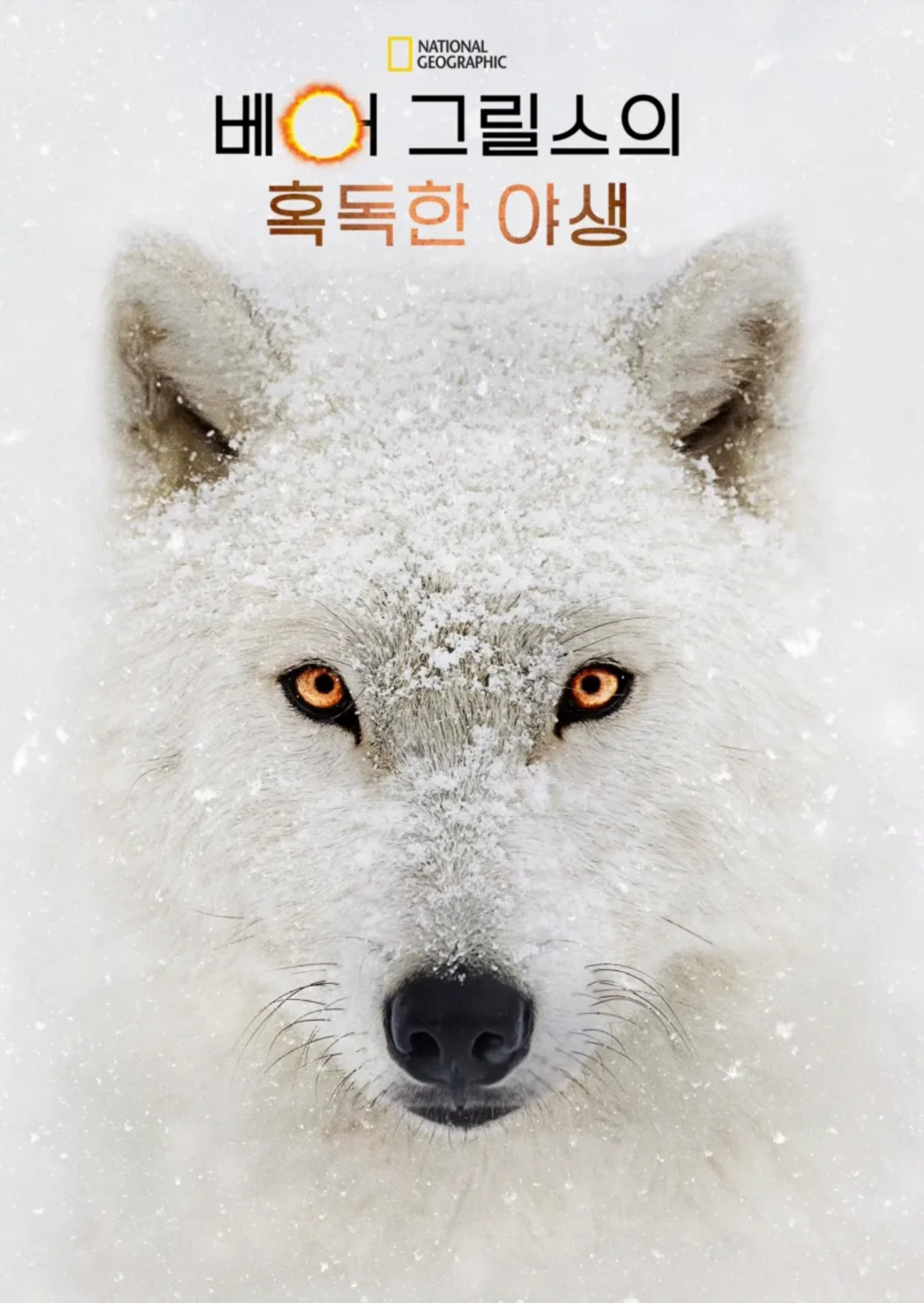 베어 그릴스의 혹독한 야생