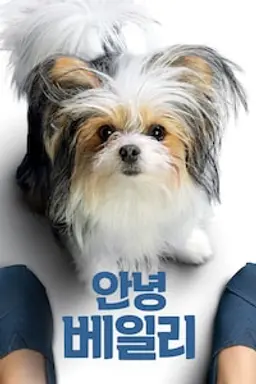 안녕 베일리