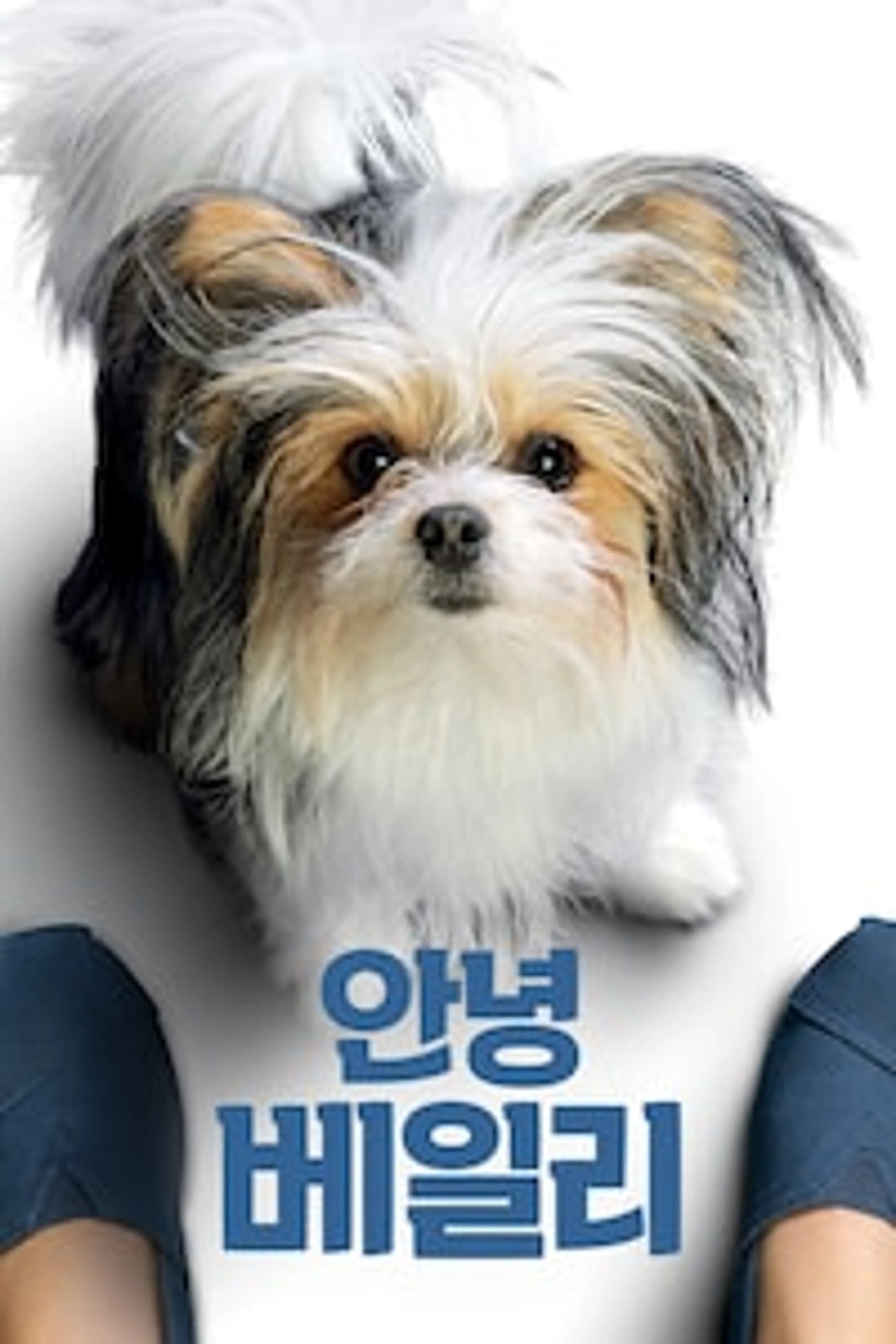 안녕 베일리