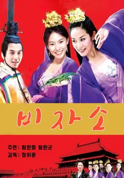비자소