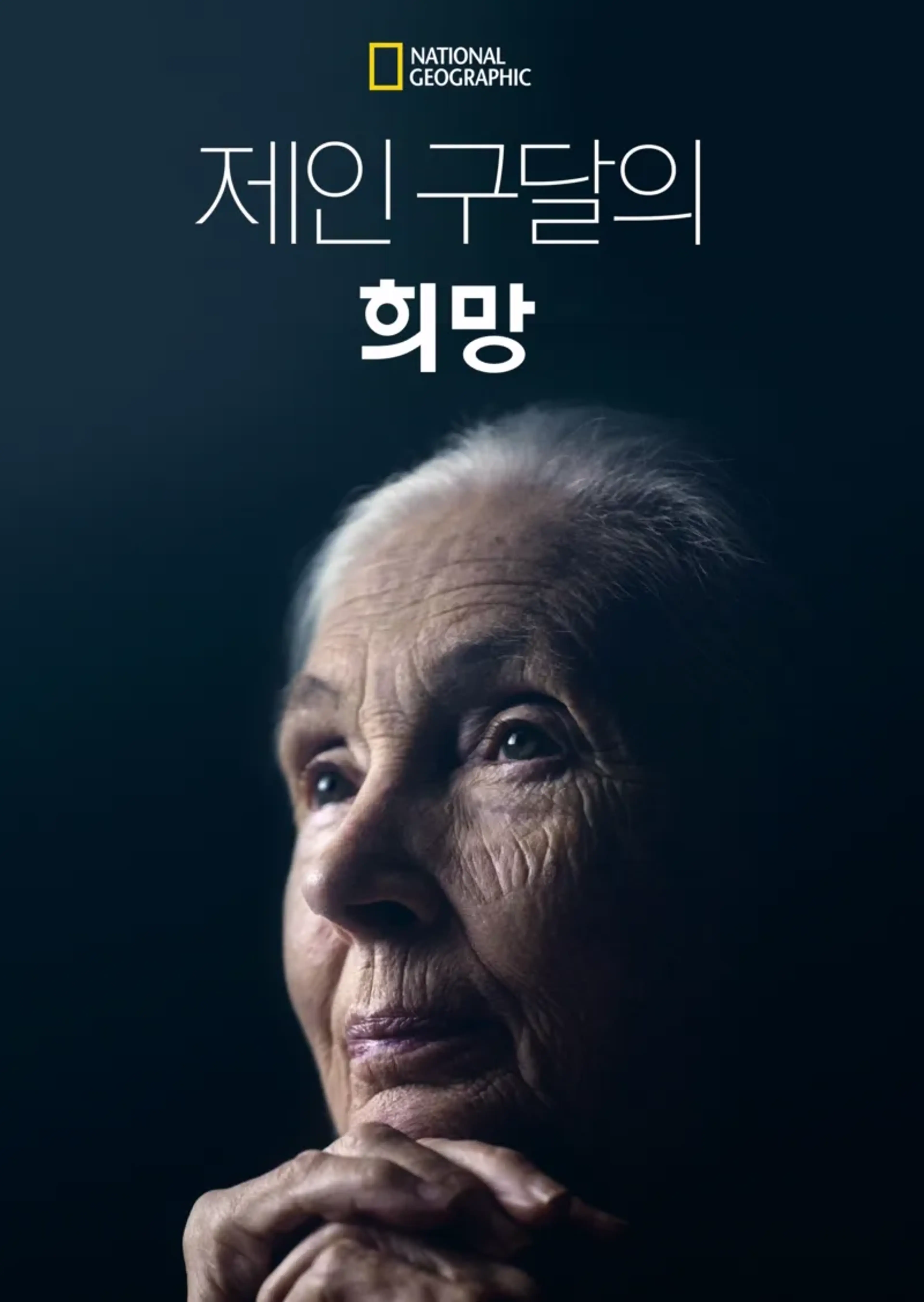 제인 구달의 희망