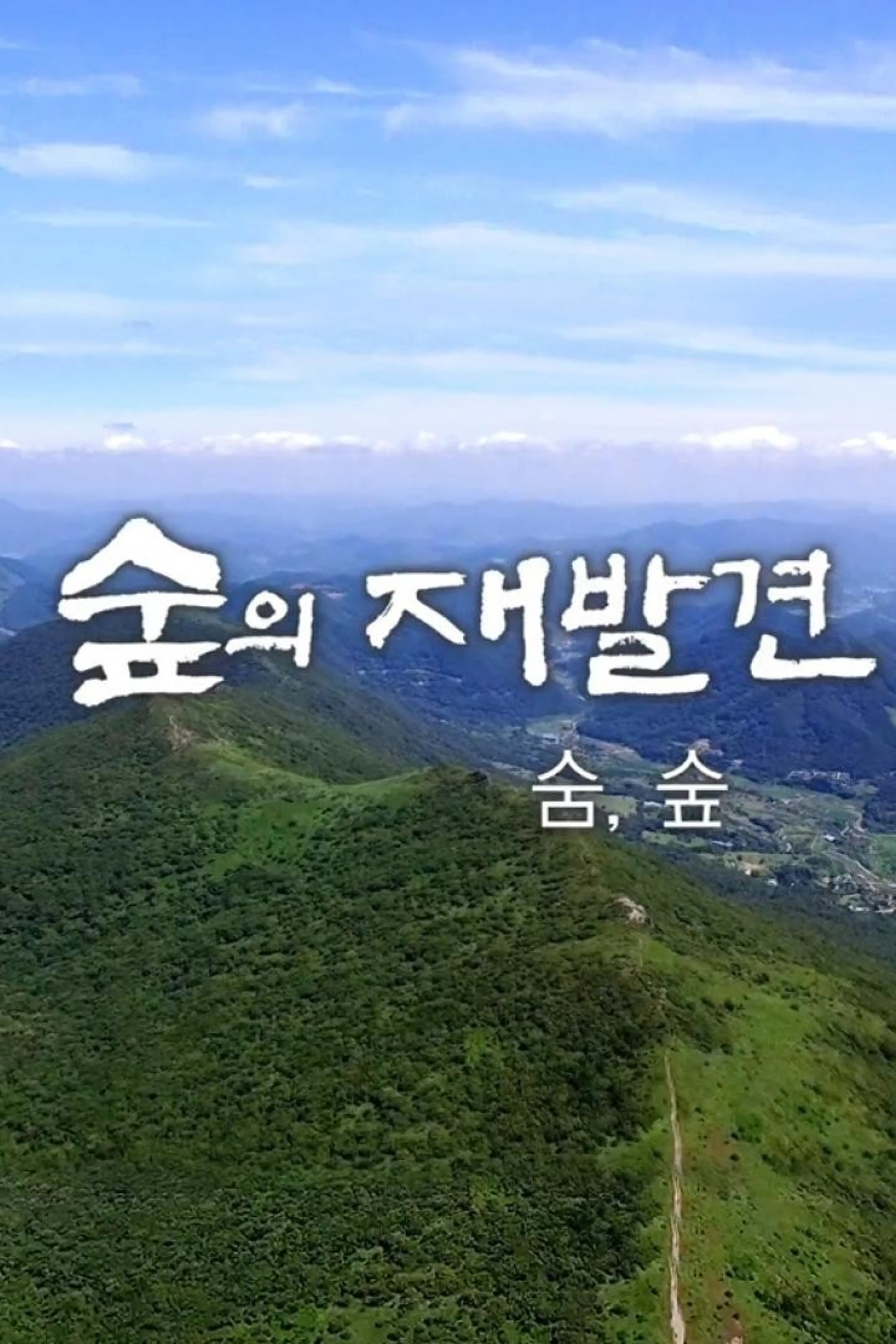 숲의 재발견