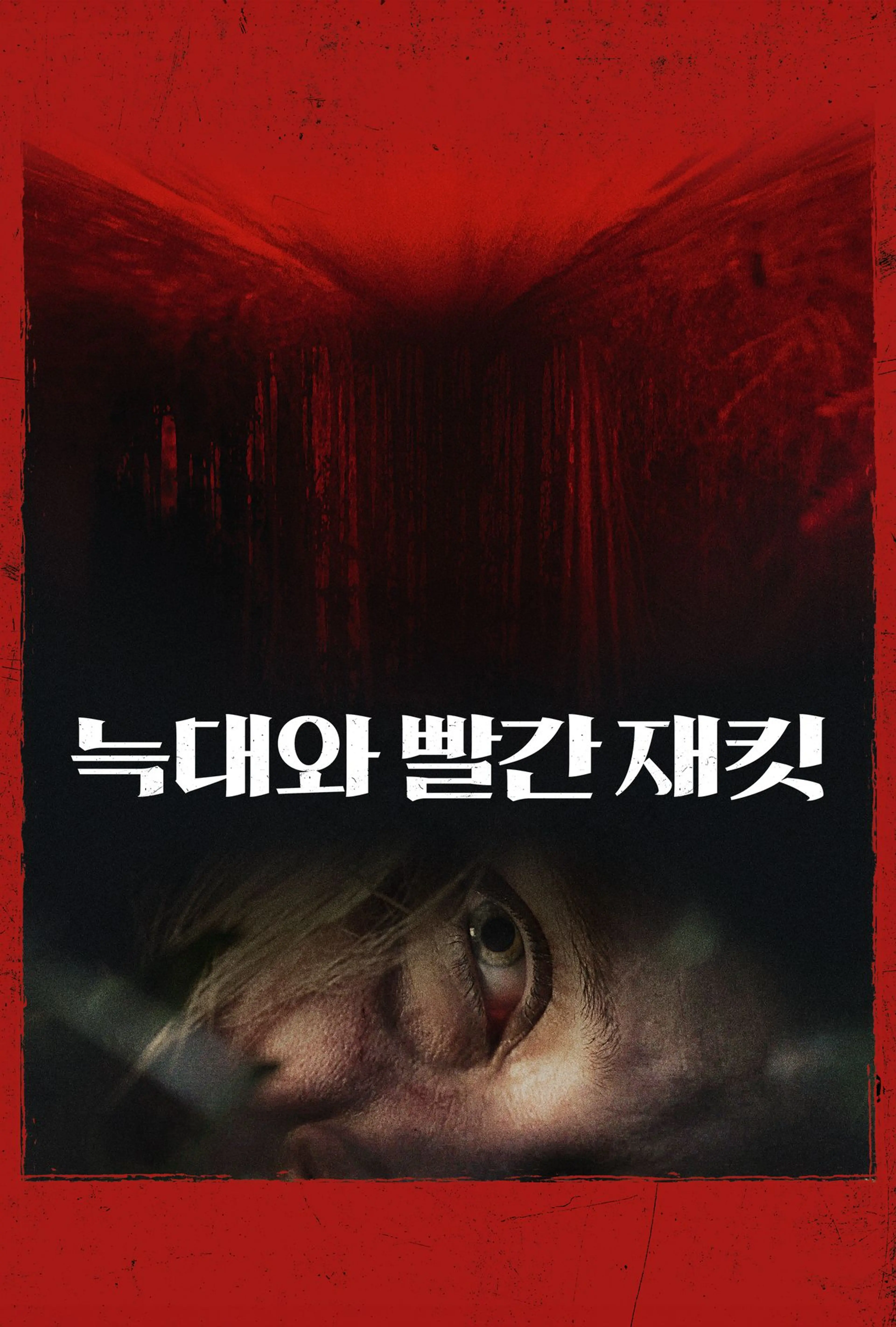 늑대와 빨간 재킷