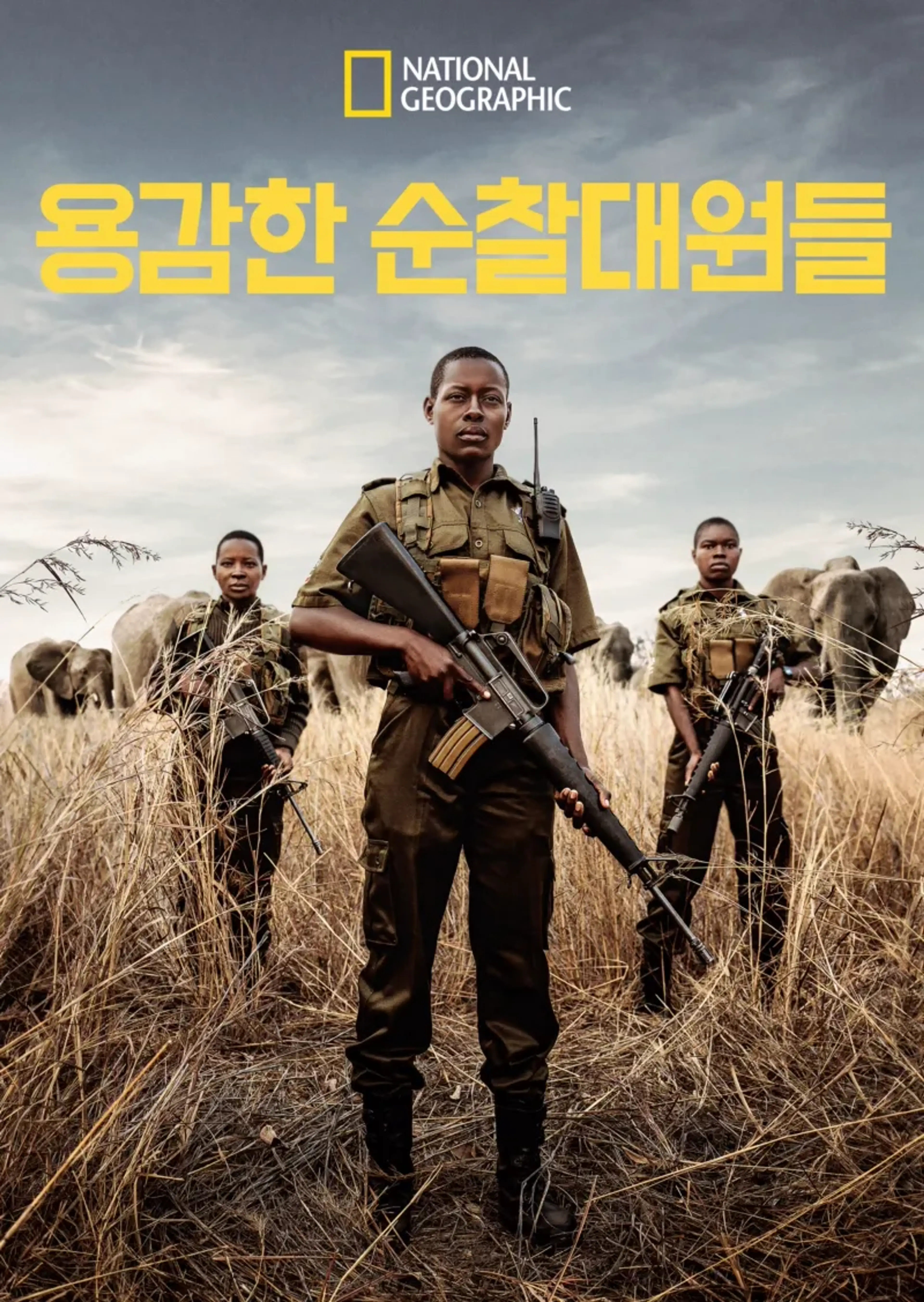 용감한 순찰대원들