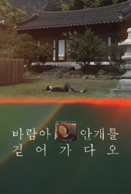 바람아 안개를 걷어가다오