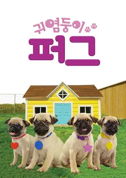 귀염둥이 퍼그