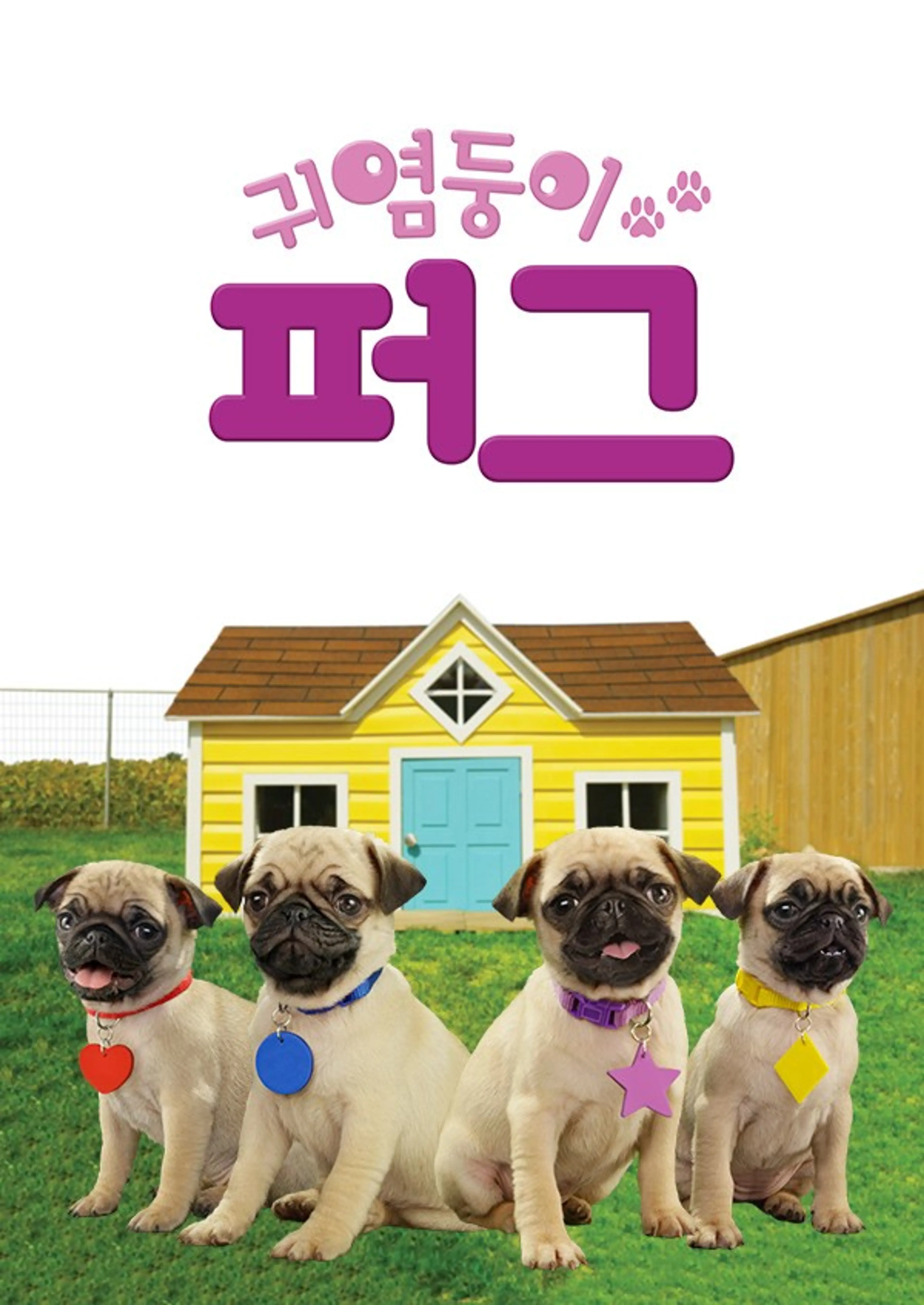 귀염둥이 퍼그