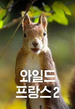 와일드 프랑스 2