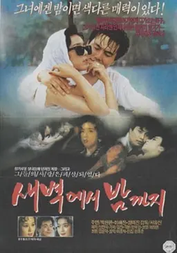 새벽에서 밤까지