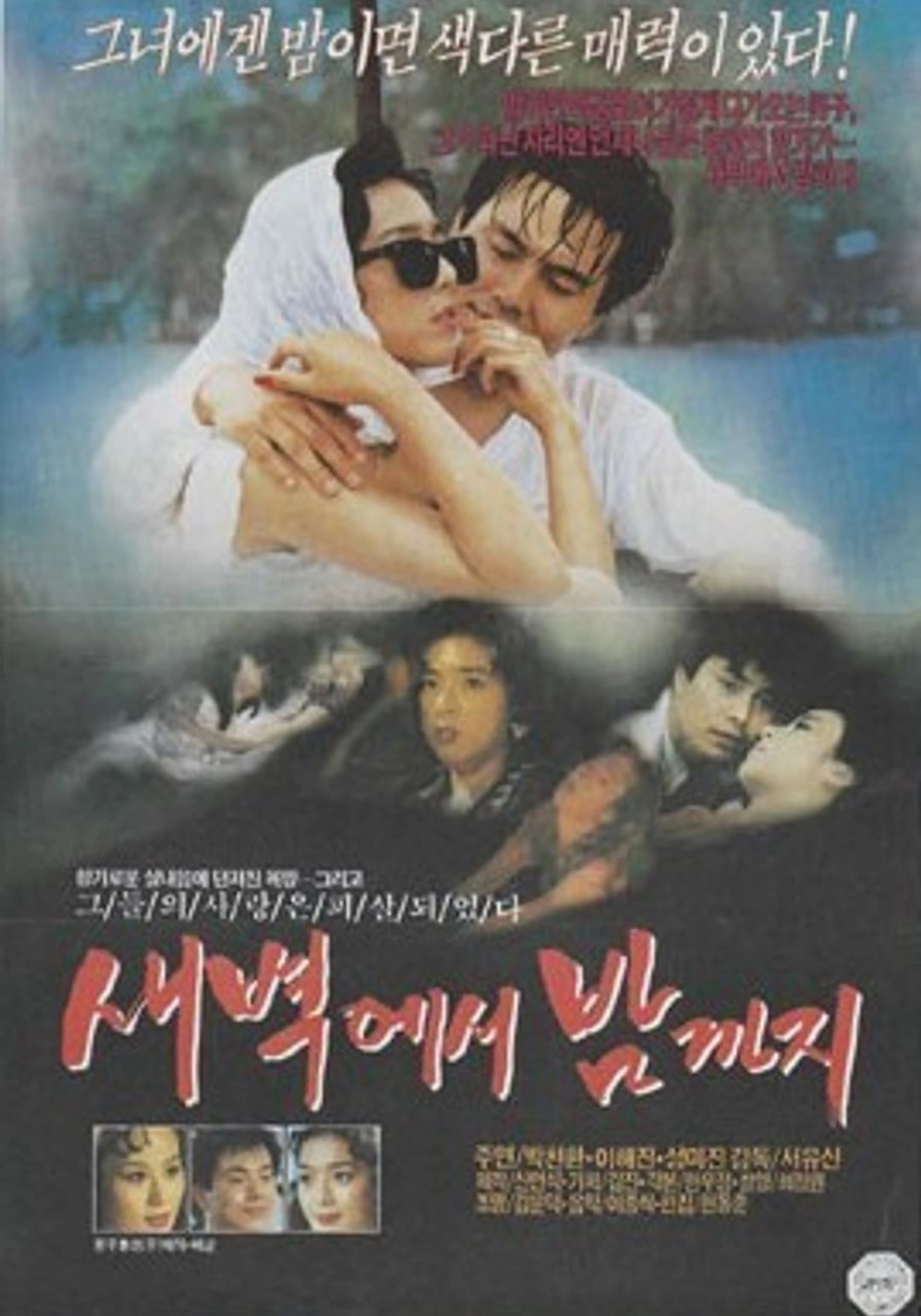 새벽에서 밤까지