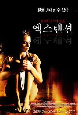 엑스텐션
