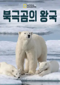 북극곰의 왕국
