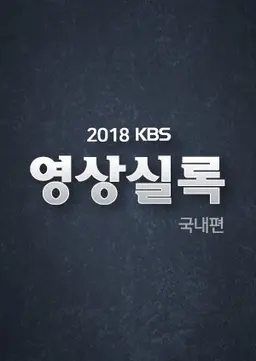 2018 KBS 영상실록 국내편