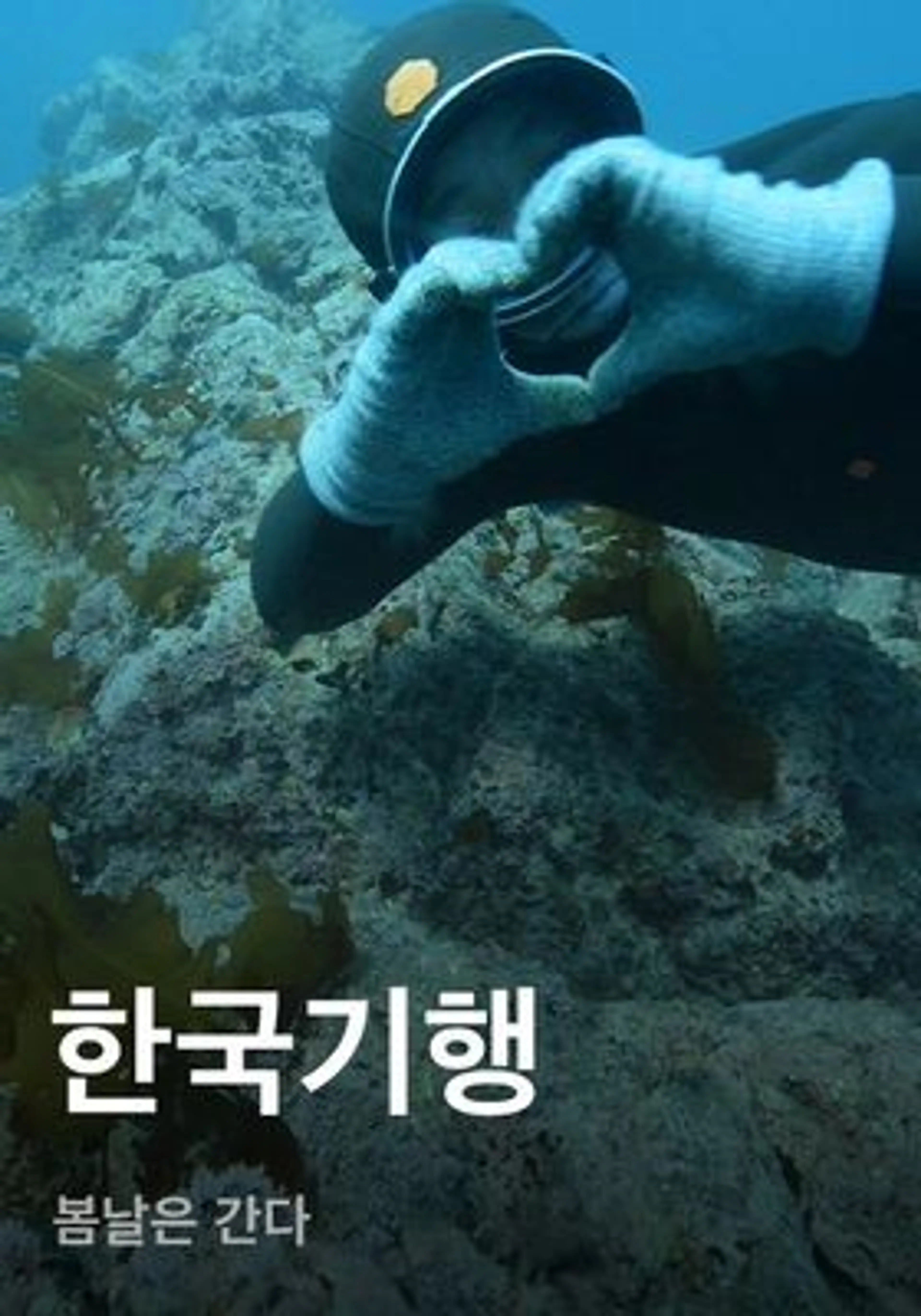 한국기행 - 봄날은 간다